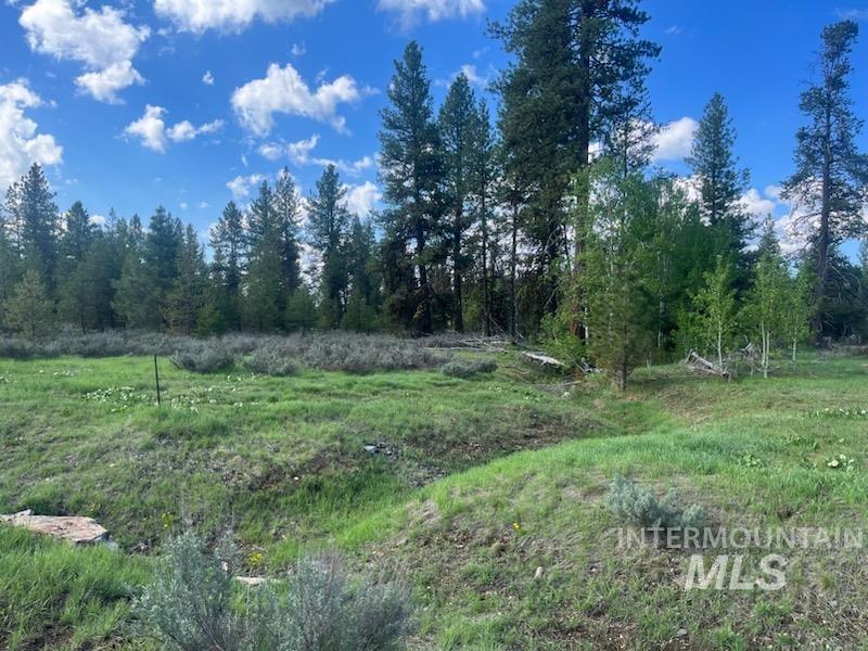 29 Fawnlilly Dr, McCall, Idaho 83638, Land For Sale, Price $200,000, 98970957