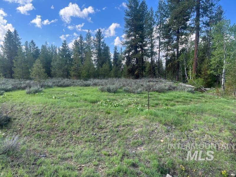 29 Fawnlilly Dr, McCall, Idaho 83638, Land For Sale, Price $200,000, 98970957
