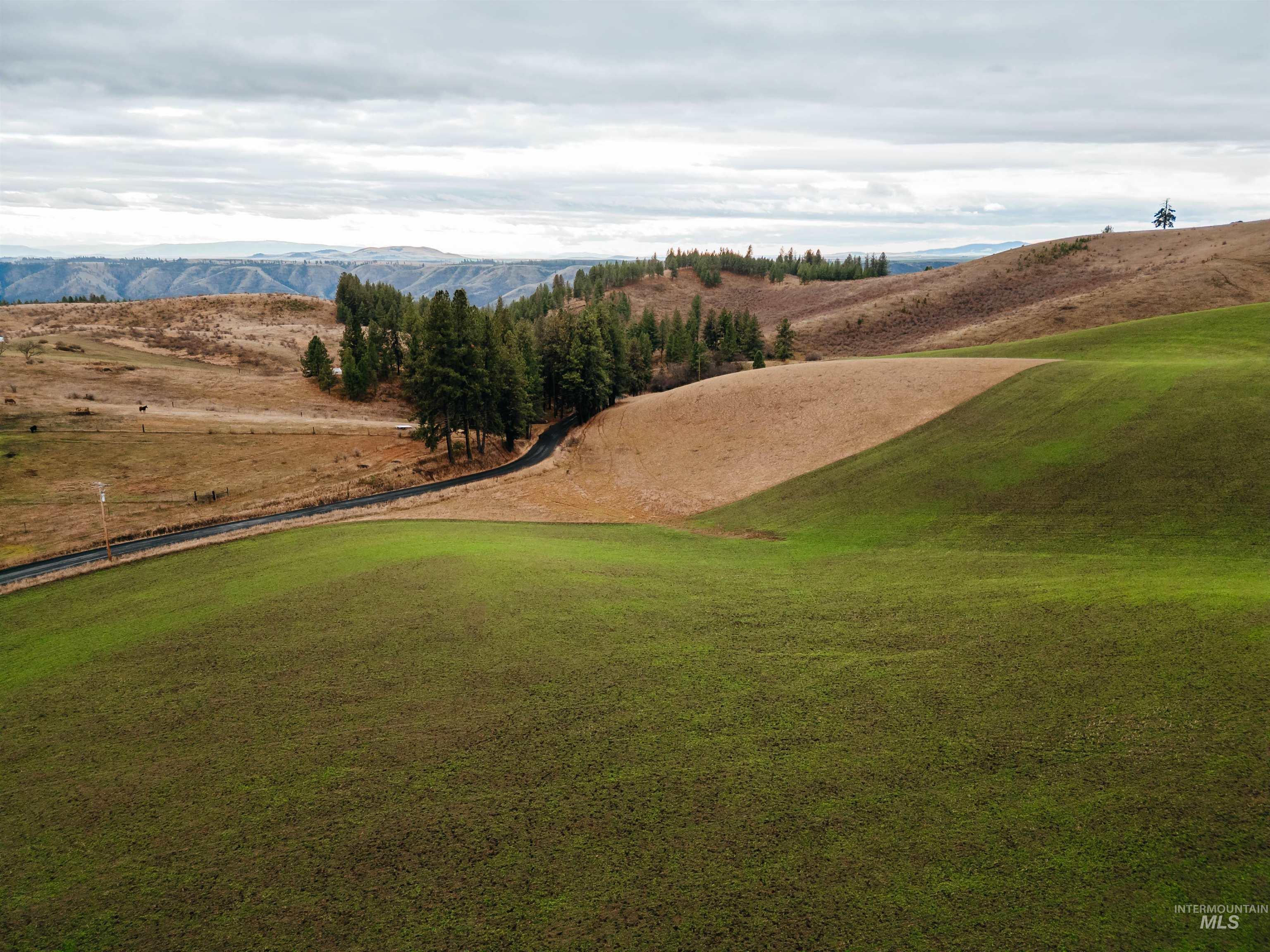 TBD Pardee Road, Kamiah, Idaho 83536, Land For Sale, Price $113,500, 98970963