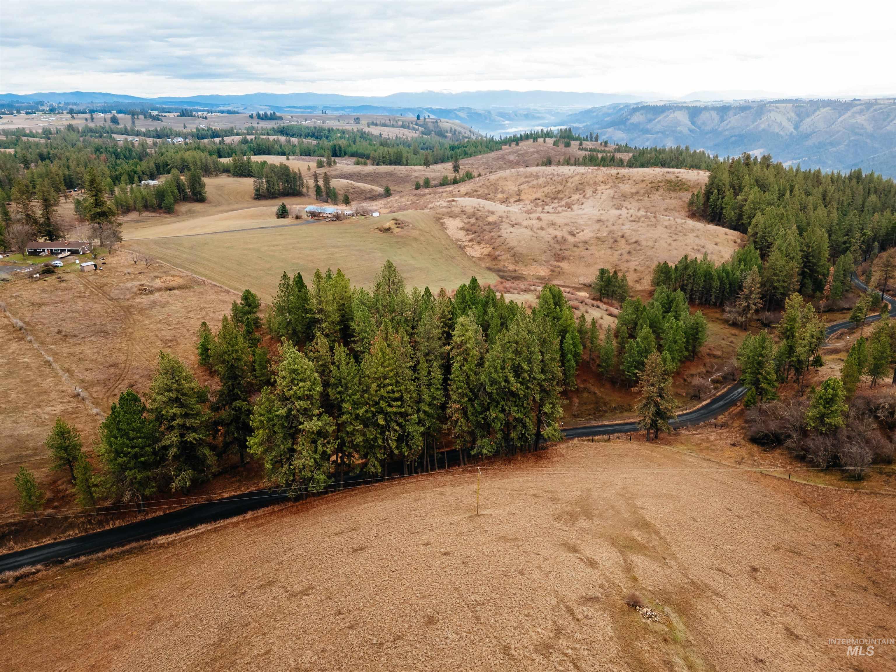 TBD Pardee Road, Kamiah, Idaho 83536, Land For Sale, Price $113,500,MLS 98970963