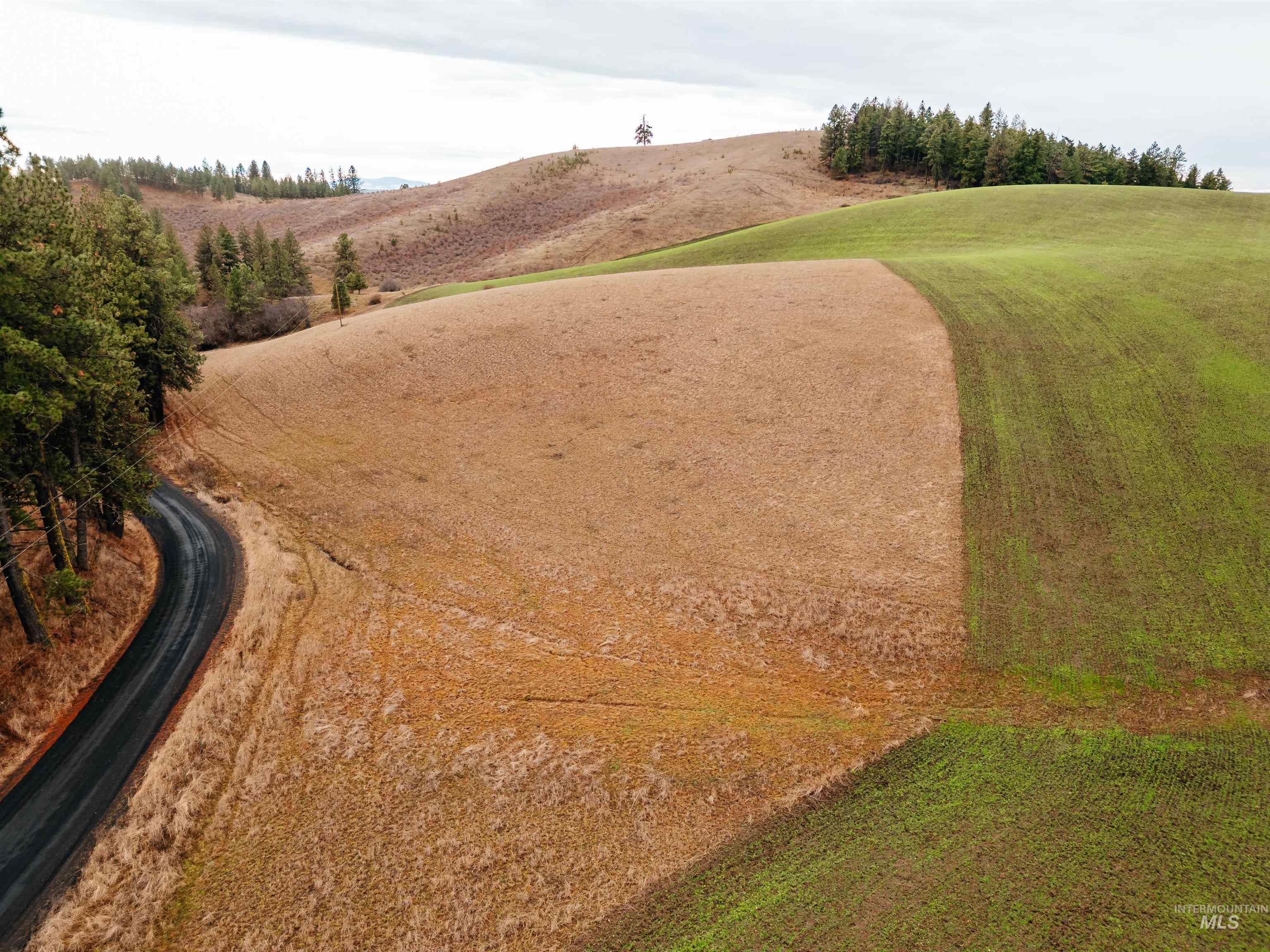 TBD Pardee Road, Kamiah, Idaho 83536, Land For Sale, Price $113,500, 98970963