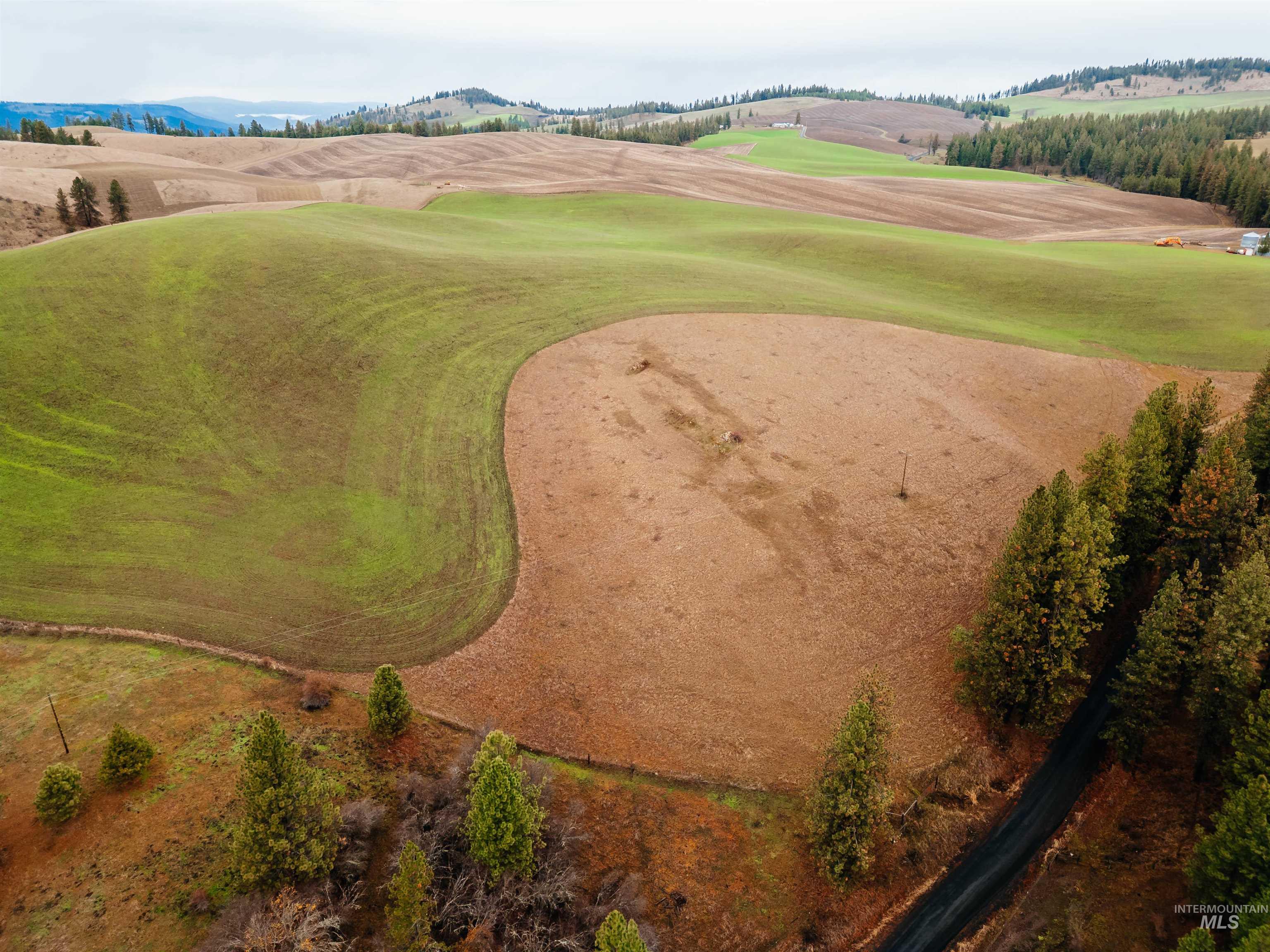 TBD Pardee Road, Kamiah, Idaho 83536, Land For Sale, Price $113,500, 98970963