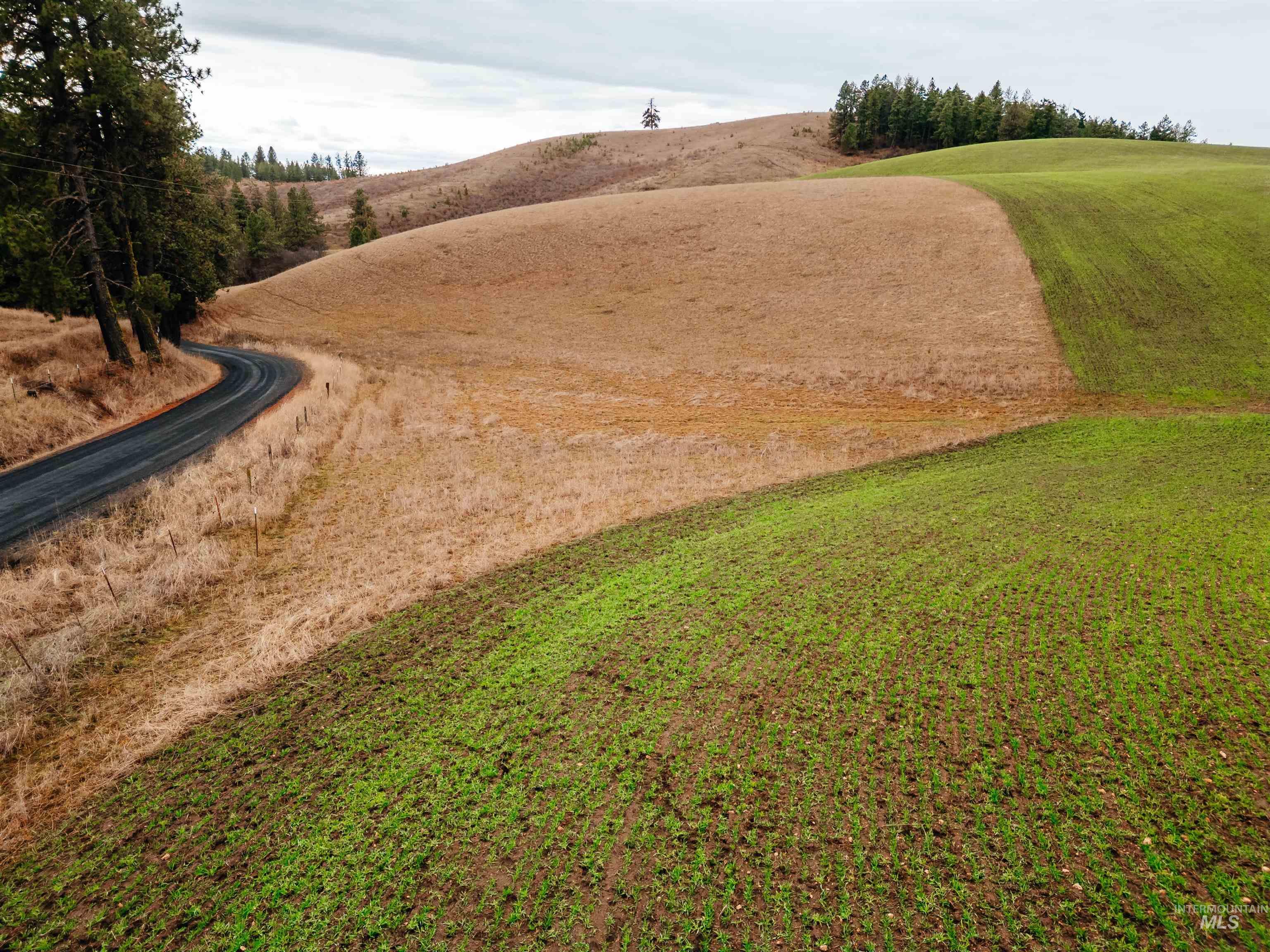 TBD Pardee Road, Kamiah, Idaho 83536, Land For Sale, Price $113,500, 98970963