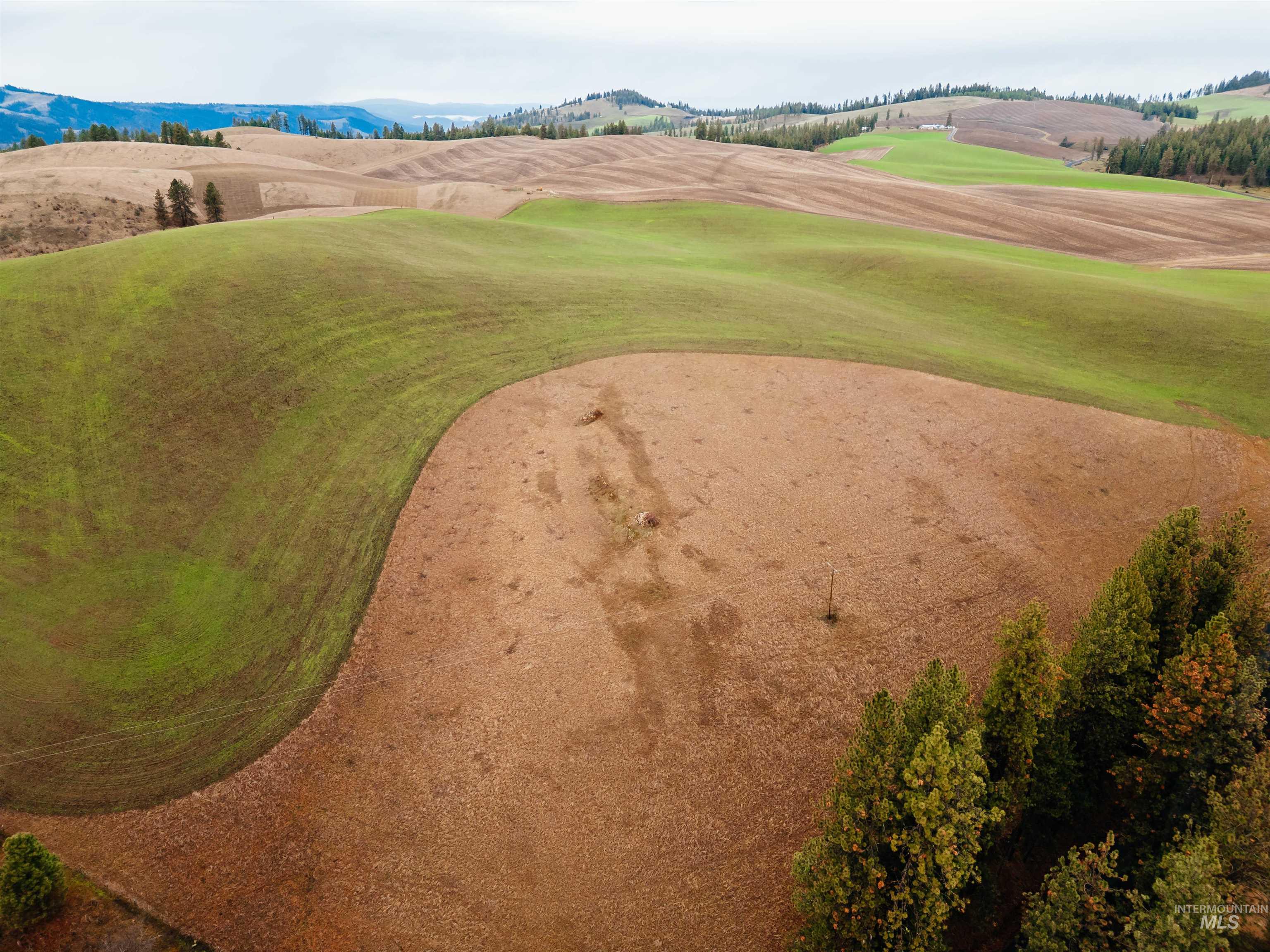 TBD Pardee Road, Kamiah, Idaho 83536, Land For Sale, Price $113,500, 98970963