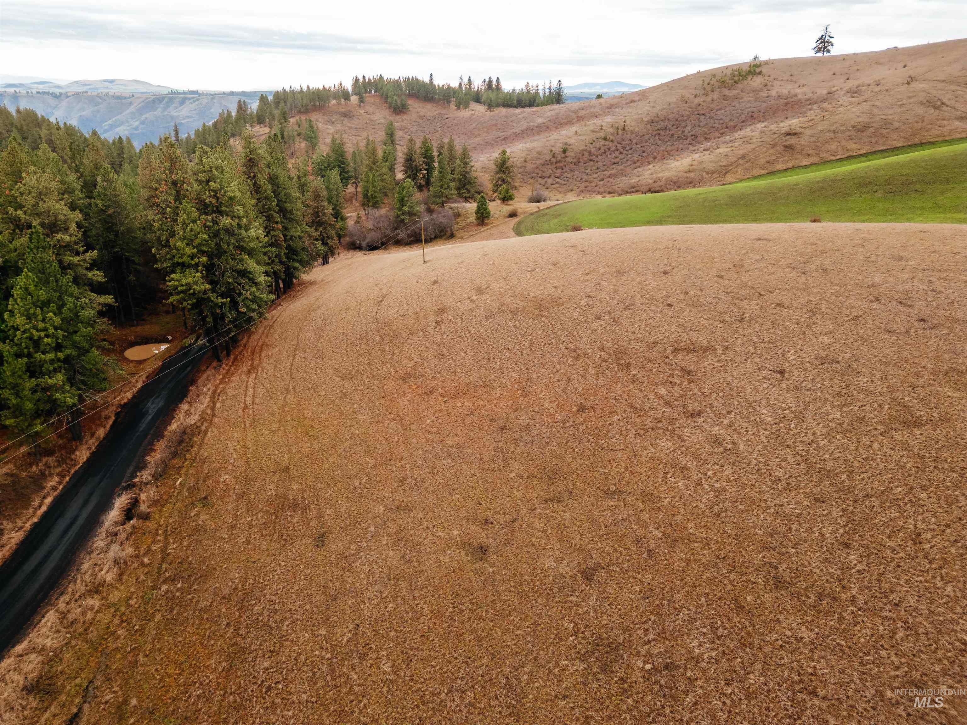 TBD Pardee Road, Kamiah, Idaho 83536, Land For Sale, Price $113,500, 98970963