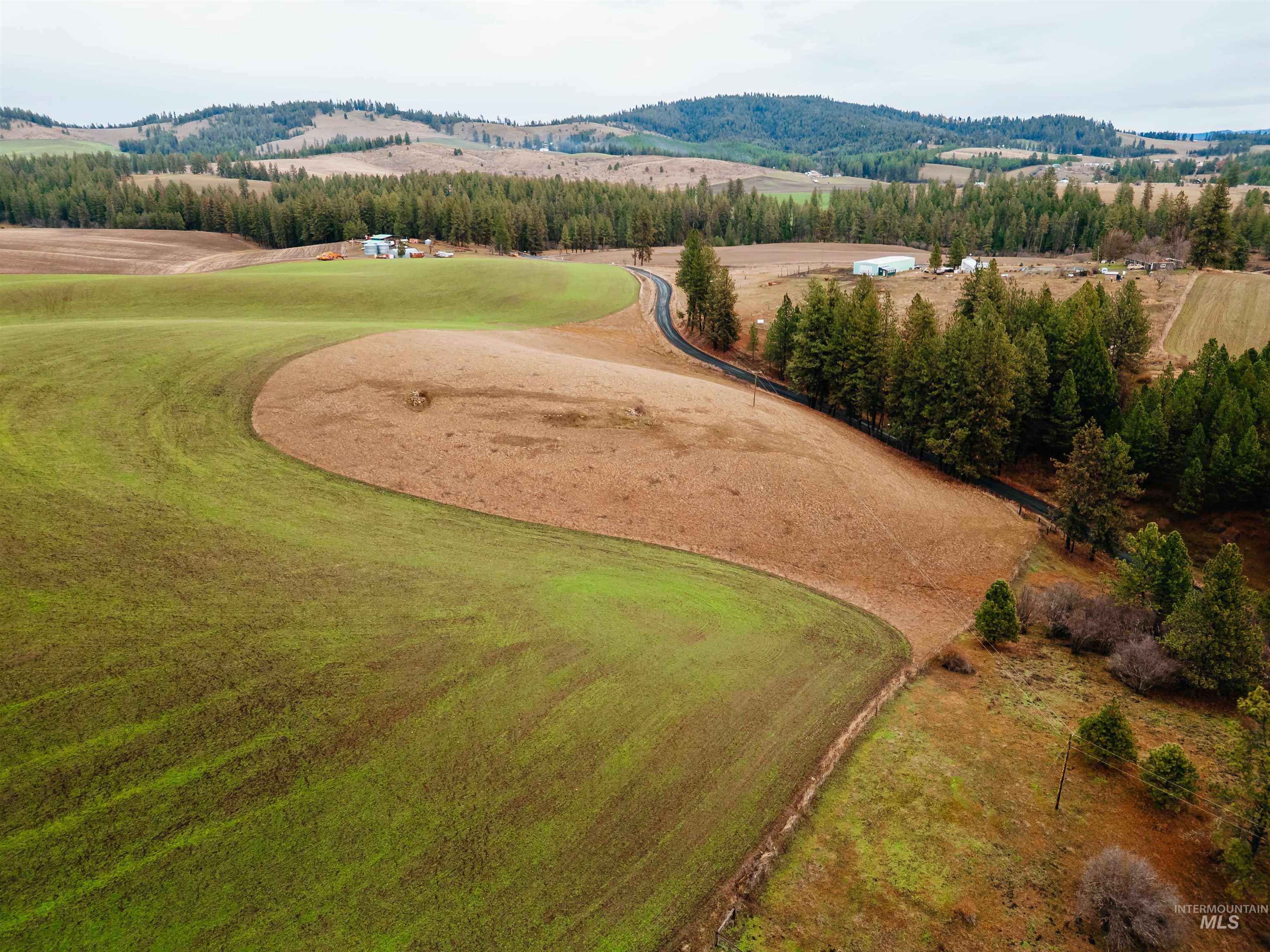 TBD Pardee Road, Kamiah, Idaho 83536, Land For Sale, Price $113,500, 98970963