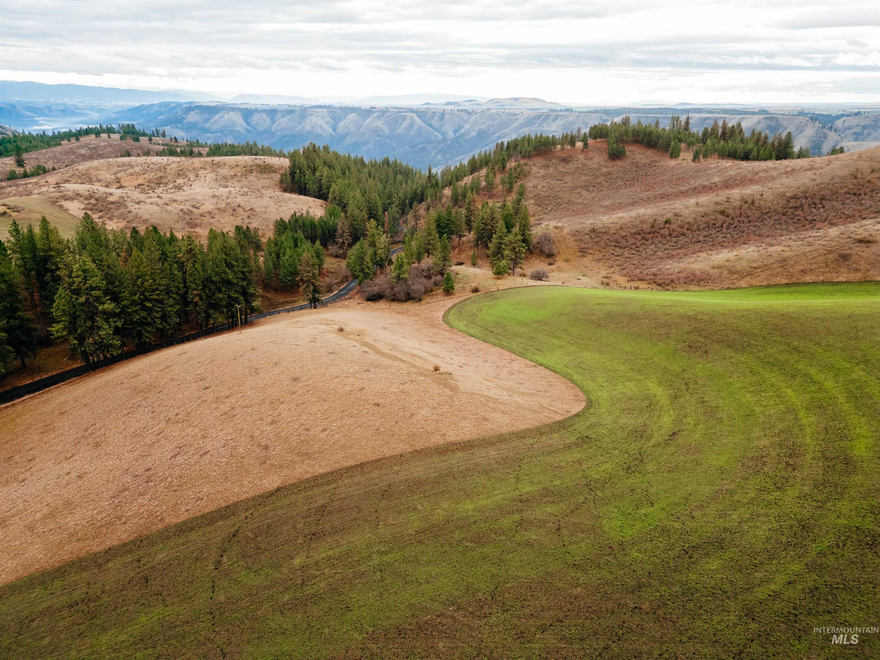 TBD Pardee Road, Kamiah, Idaho 83536, Land For Sale, Price $113,500, 98970963