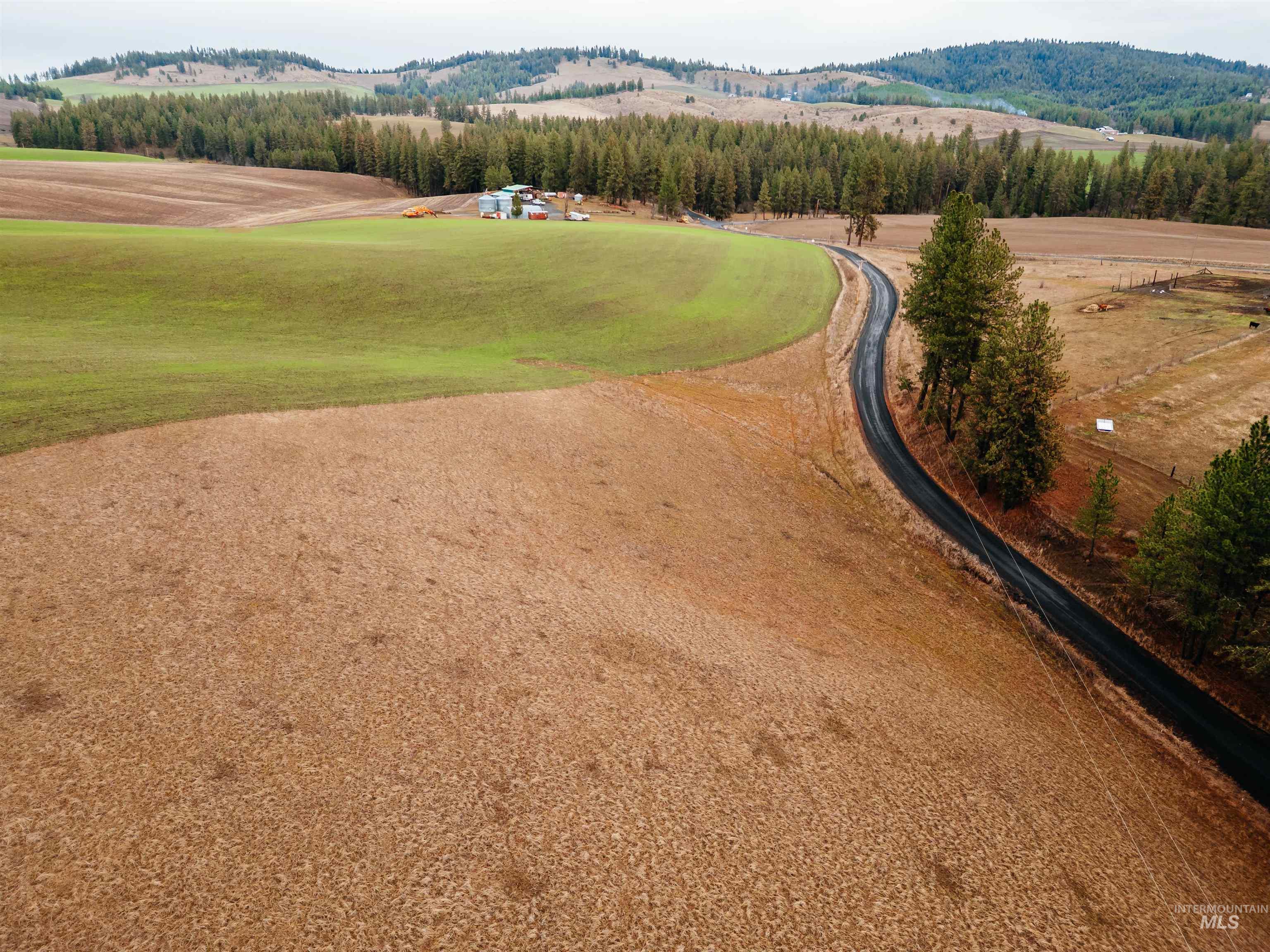 TBD Pardee Road, Kamiah, Idaho 83536, Land For Sale, Price $113,500, 98970963