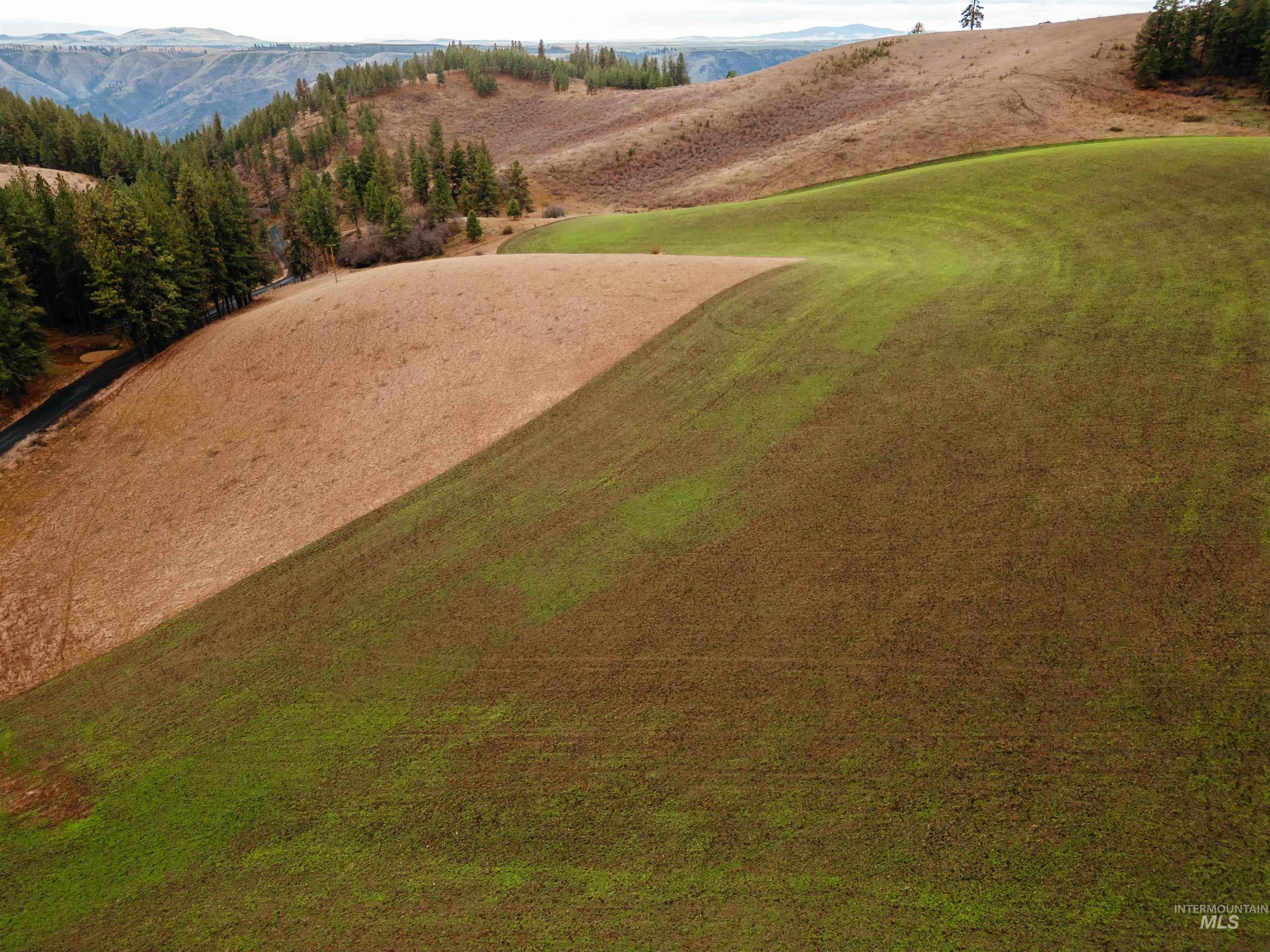 TBD Pardee Road, Kamiah, Idaho 83536, Land For Sale, Price $113,500, 98970963