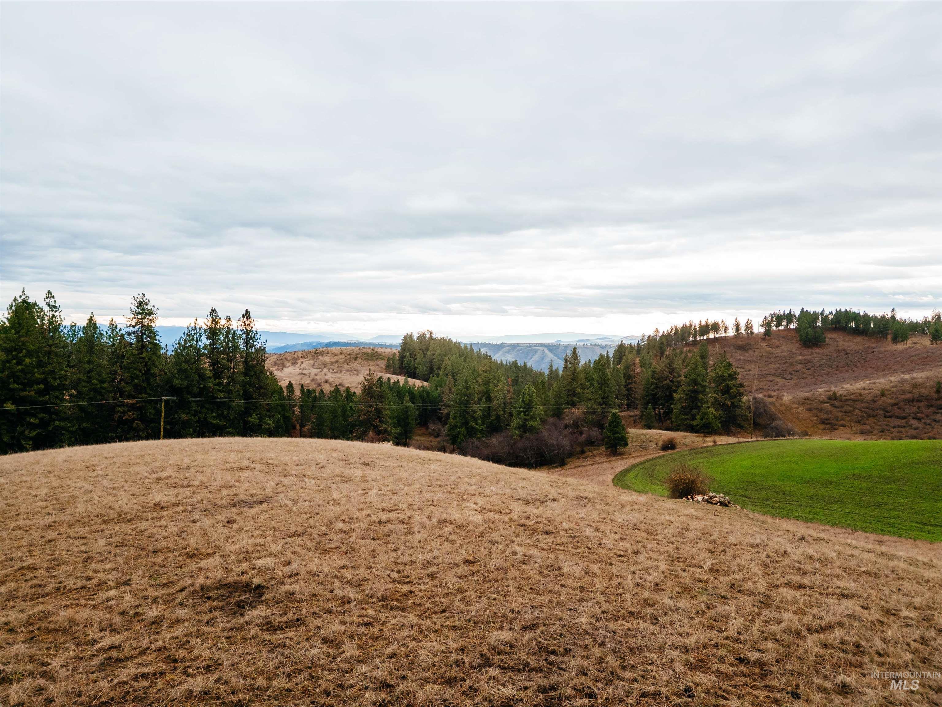 TBD Pardee Road, Kamiah, Idaho 83536, Land For Sale, Price $113,500, 98970963