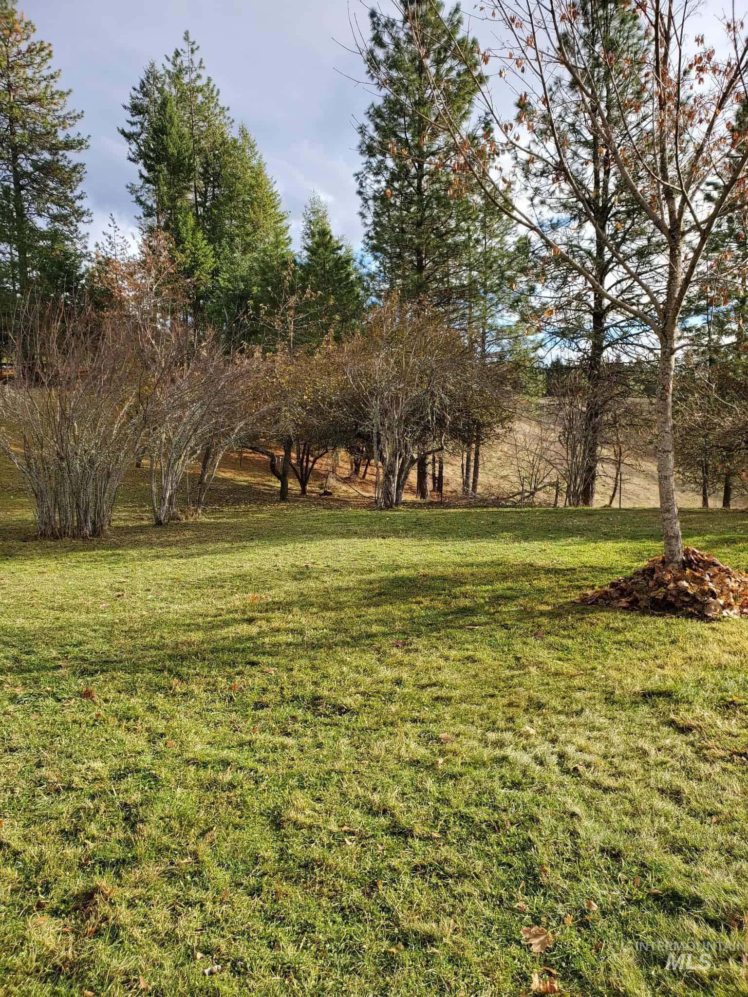 386 Big Cedar Road, Kooskia, Idaho 83539, 3 Bedrooms, 2 Bathrooms, Residential For Sale, Price $399,900, 98970965