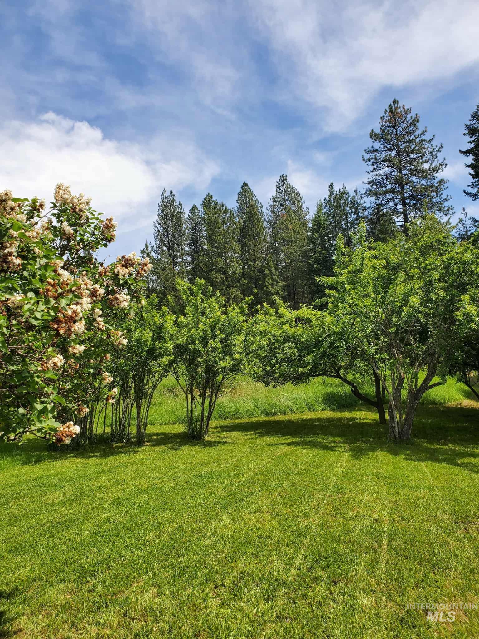 386 Big Cedar Road, Kooskia, Idaho 83539, 3 Bedrooms, 2 Bathrooms, Residential For Sale, Price $399,900, 98970965