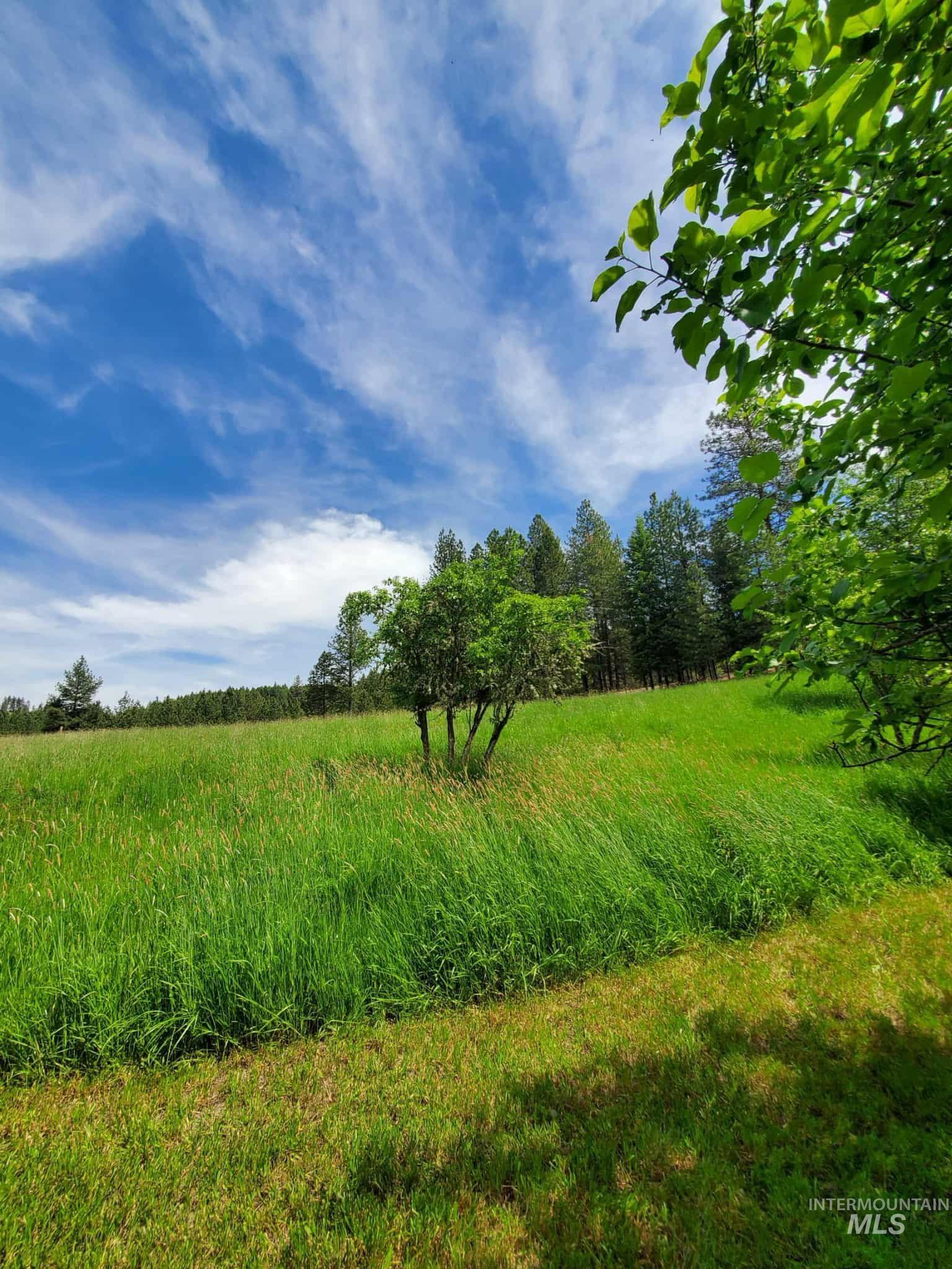 386 Big Cedar Road, Kooskia, Idaho 83539, 3 Bedrooms, 2 Bathrooms, Residential For Sale, Price $399,900, 98970965