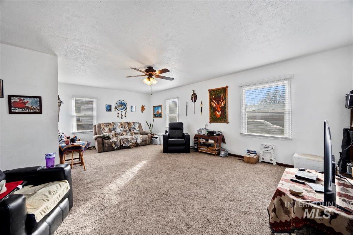 Living area featuring carpet, healthy amount of natural light, a textured ceiling, and ceiling fan