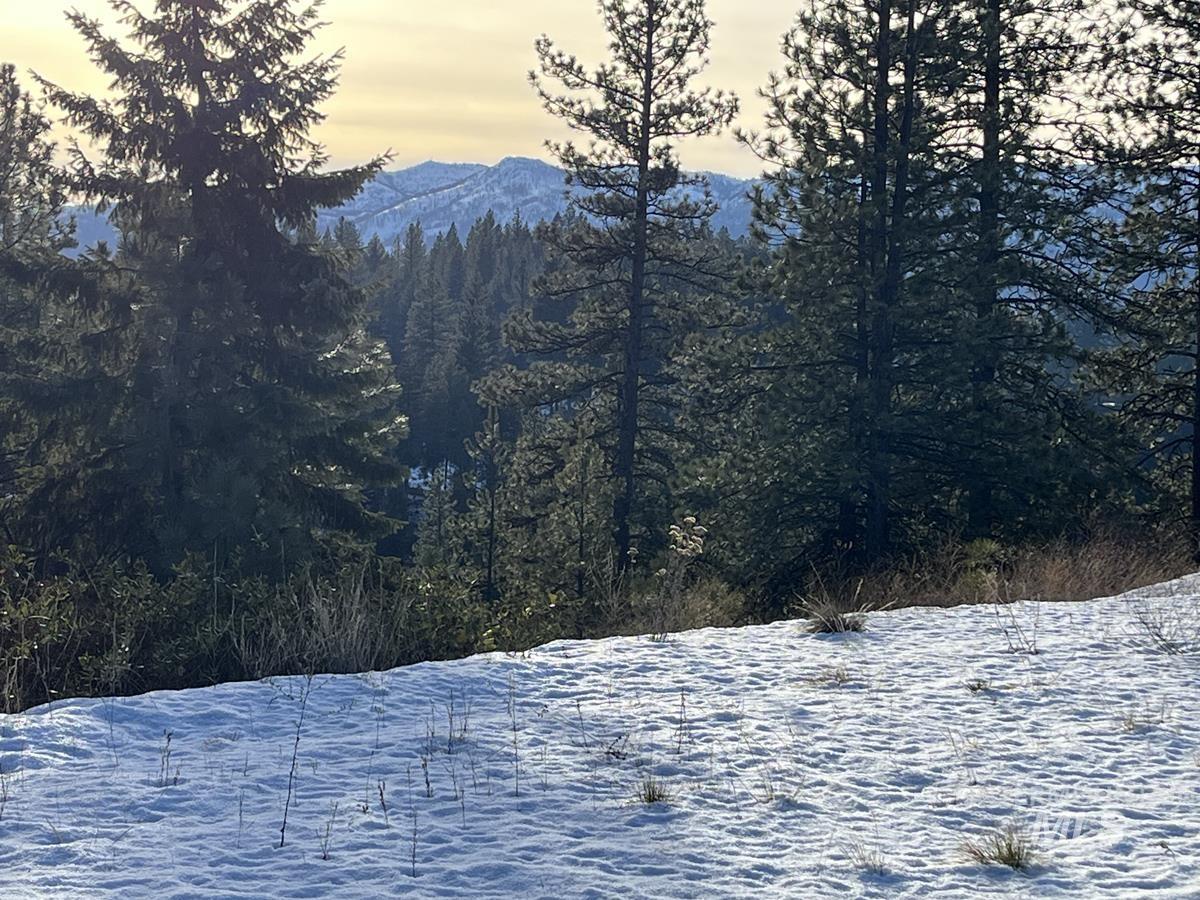 11 Augustus Way, Cascade, Idaho 83611, Land For Sale, Price $319,000, 98970974