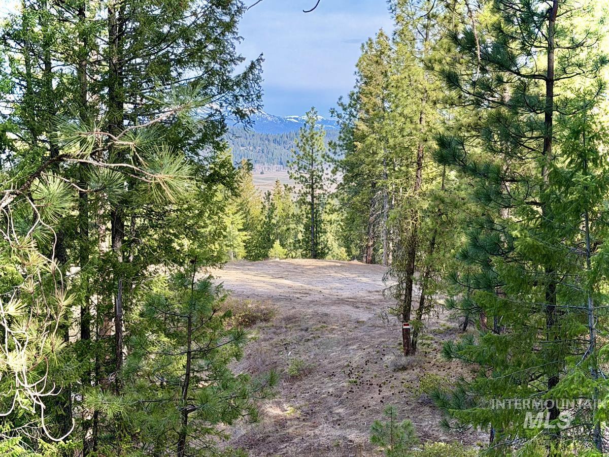 11 Augustus Way, Cascade, Idaho 83611, Land For Sale, Price $319,000,MLS 98970974