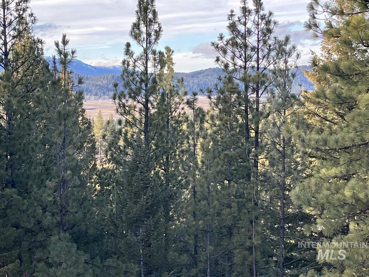 11 Augustus Way, Cascade, Idaho 83611, Land For Sale, Price $299,000,MLS 98970974