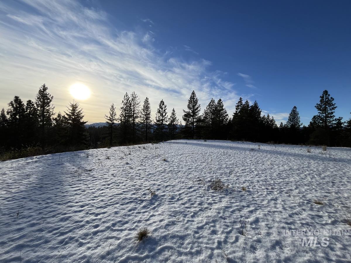 11 Augustus Way, Cascade, Idaho 83611, Land For Sale, Price $319,000,MLS 98970974