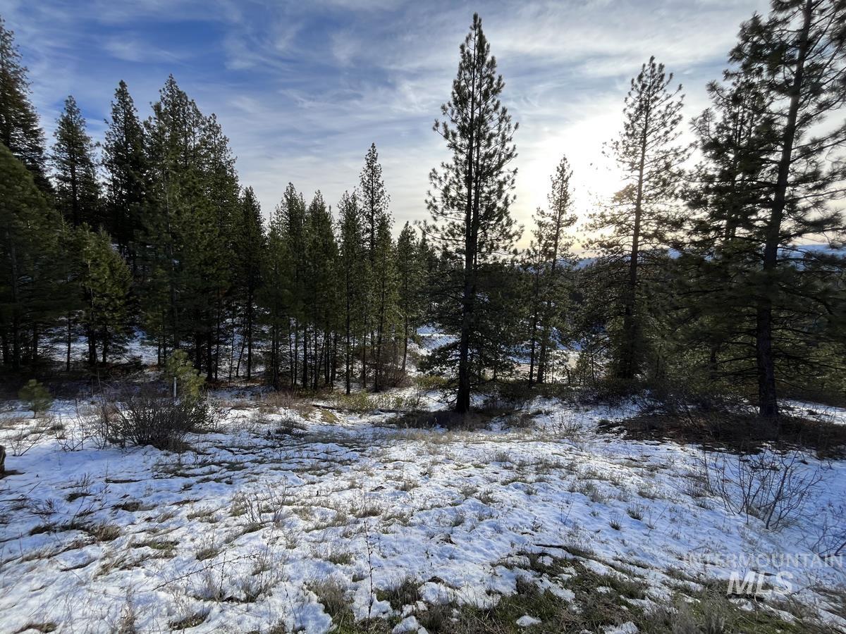 11 Augustus Way, Cascade, Idaho 83611, Land For Sale, Price $319,000, 98970974