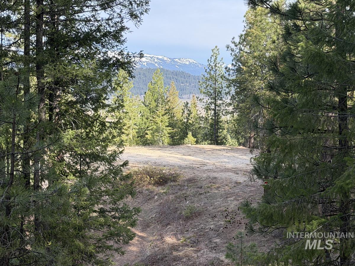 11 Augustus Way, Cascade, Idaho 83611, Land For Sale, Price $299,000,MLS 98970974