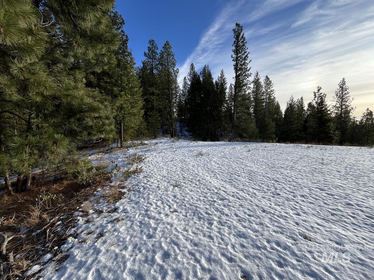 11 Augustus Way, Cascade, Idaho 83611, Land For Sale, Price $319,000, 98970974