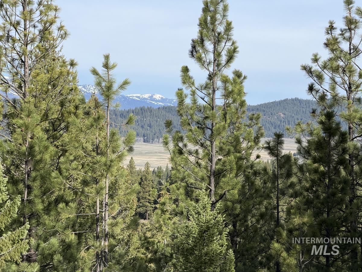 11 Augustus Way, Cascade, Idaho 83611, Land For Sale, Price $299,000,MLS 98970974