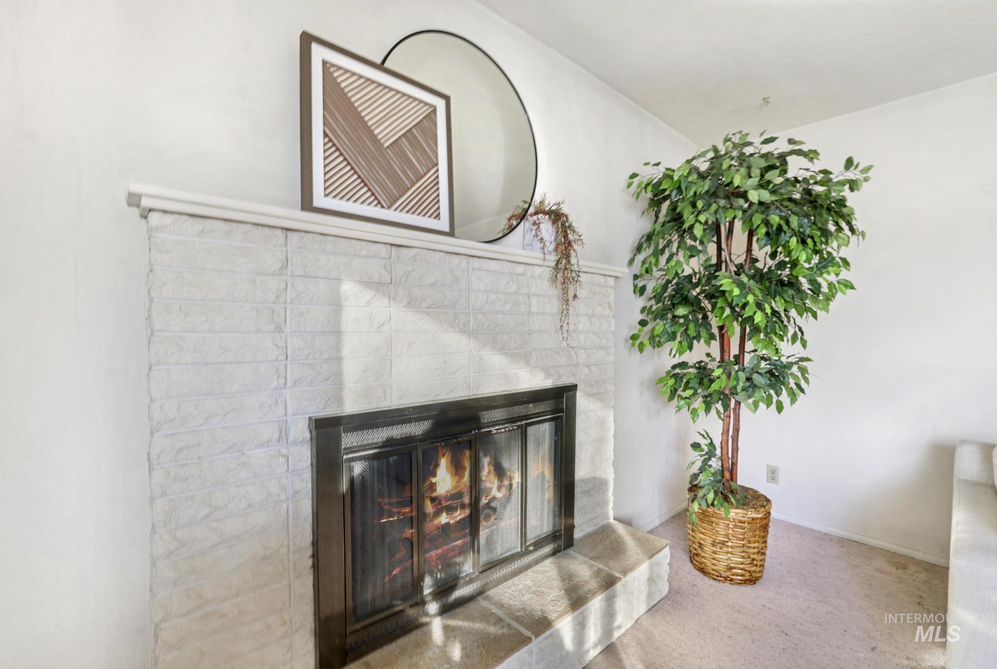 Detailed view of a glass covered fireplace and carpet