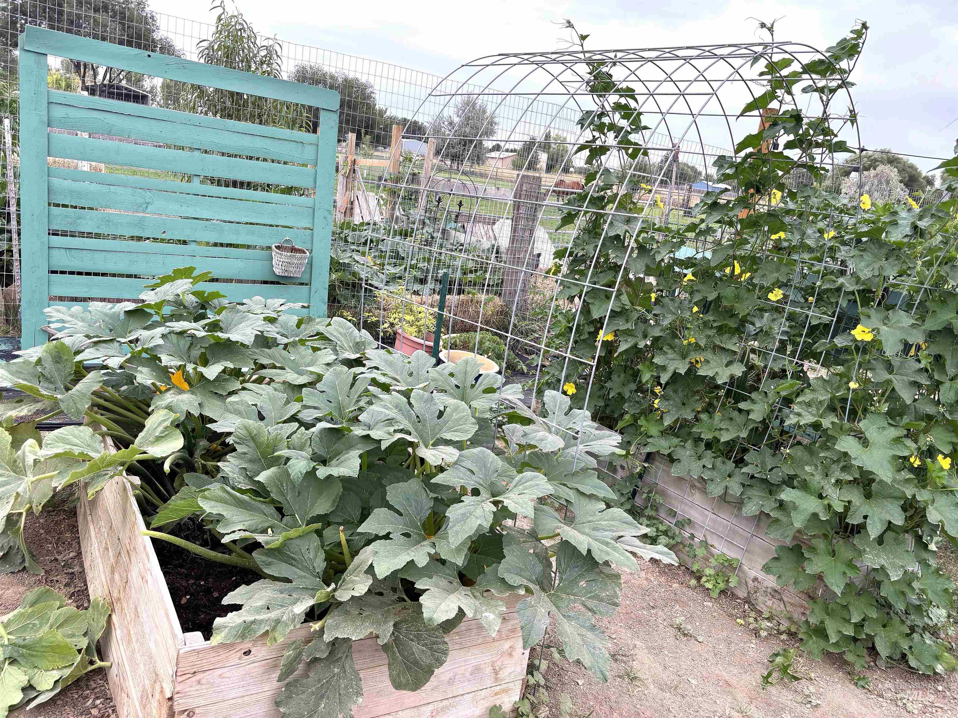 12733 Five Mile Rd, Kuna, Idaho 83634, 4 Bedrooms, 1 Bathroom, Residential For Sale, Price $595,000,MLS 98970992