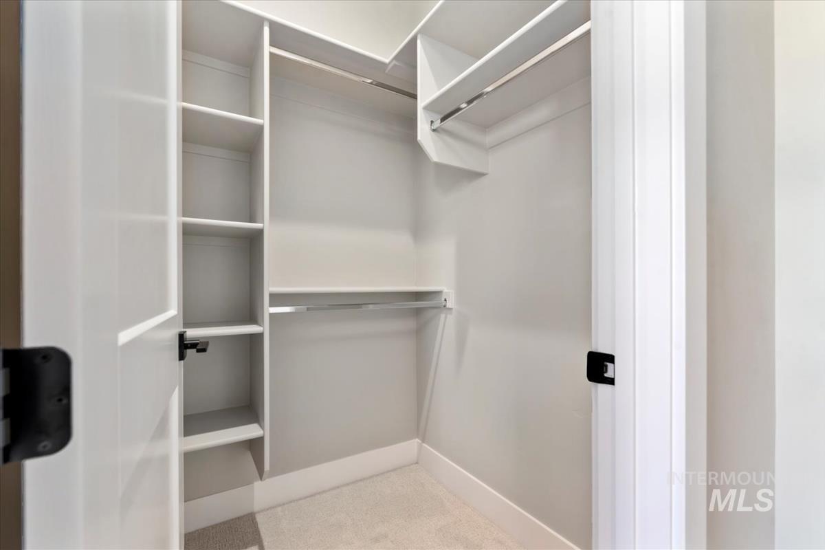 Spacious closet featuring light carpet