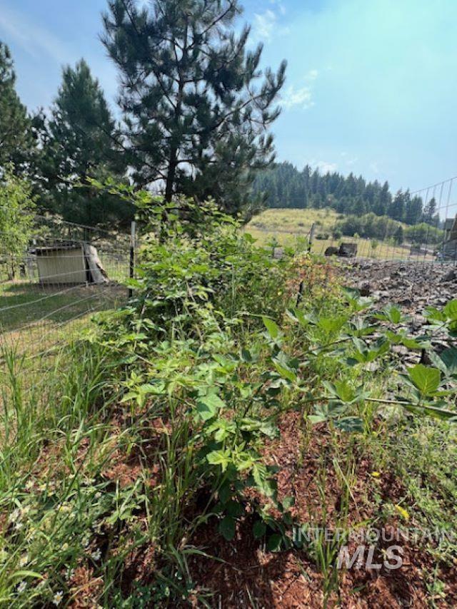 110 Liberty Lane, Kamiah, Idaho 83536, 4 Bedrooms, 3 Bathrooms, Residential For Sale, Price $465,000, 98971002