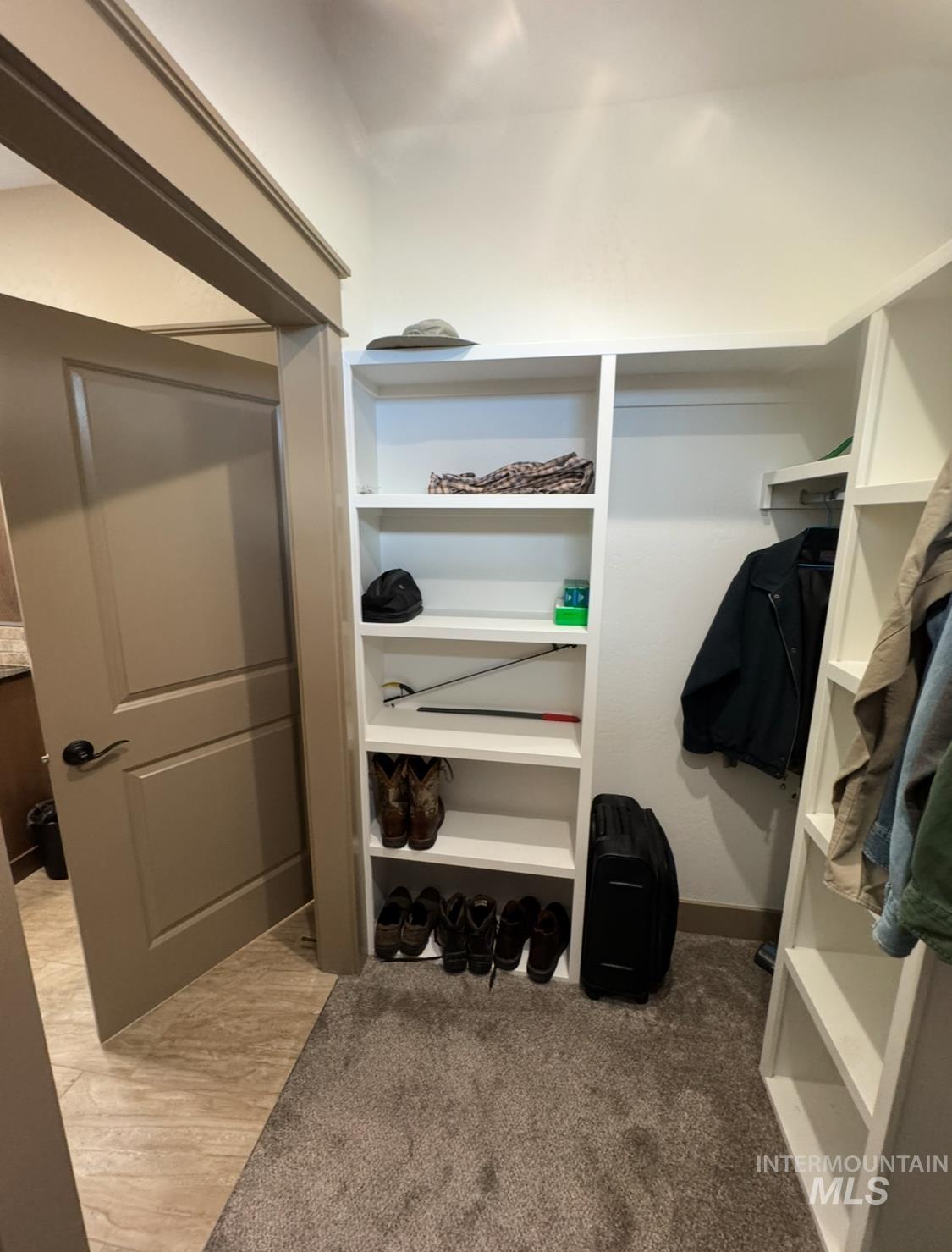 Spacious closet featuring light wood-style floors