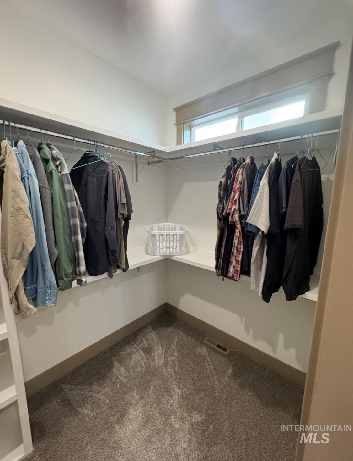 Spacious closet with dark colored carpet