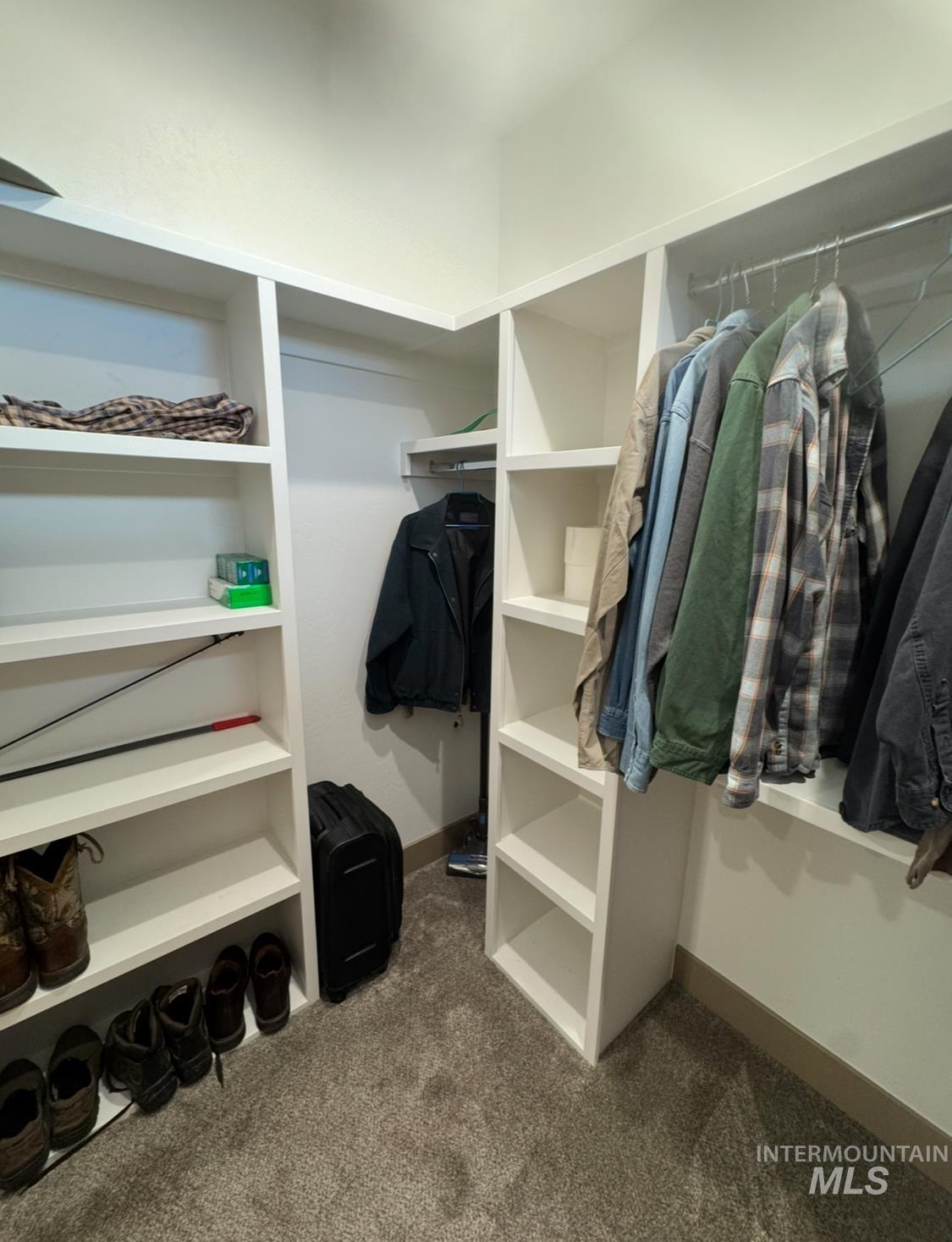 Spacious closet featuring dark carpet