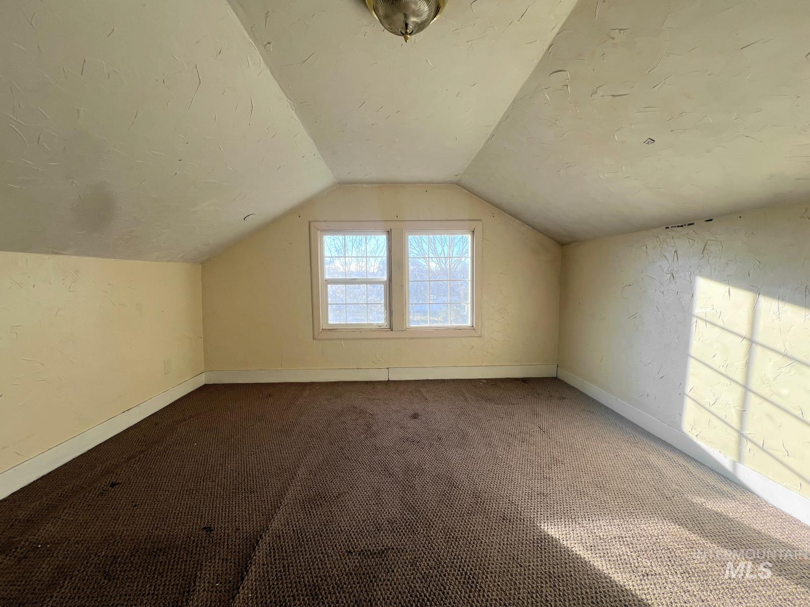 Additional living space with lofted ceiling, a textured wall, and carpet