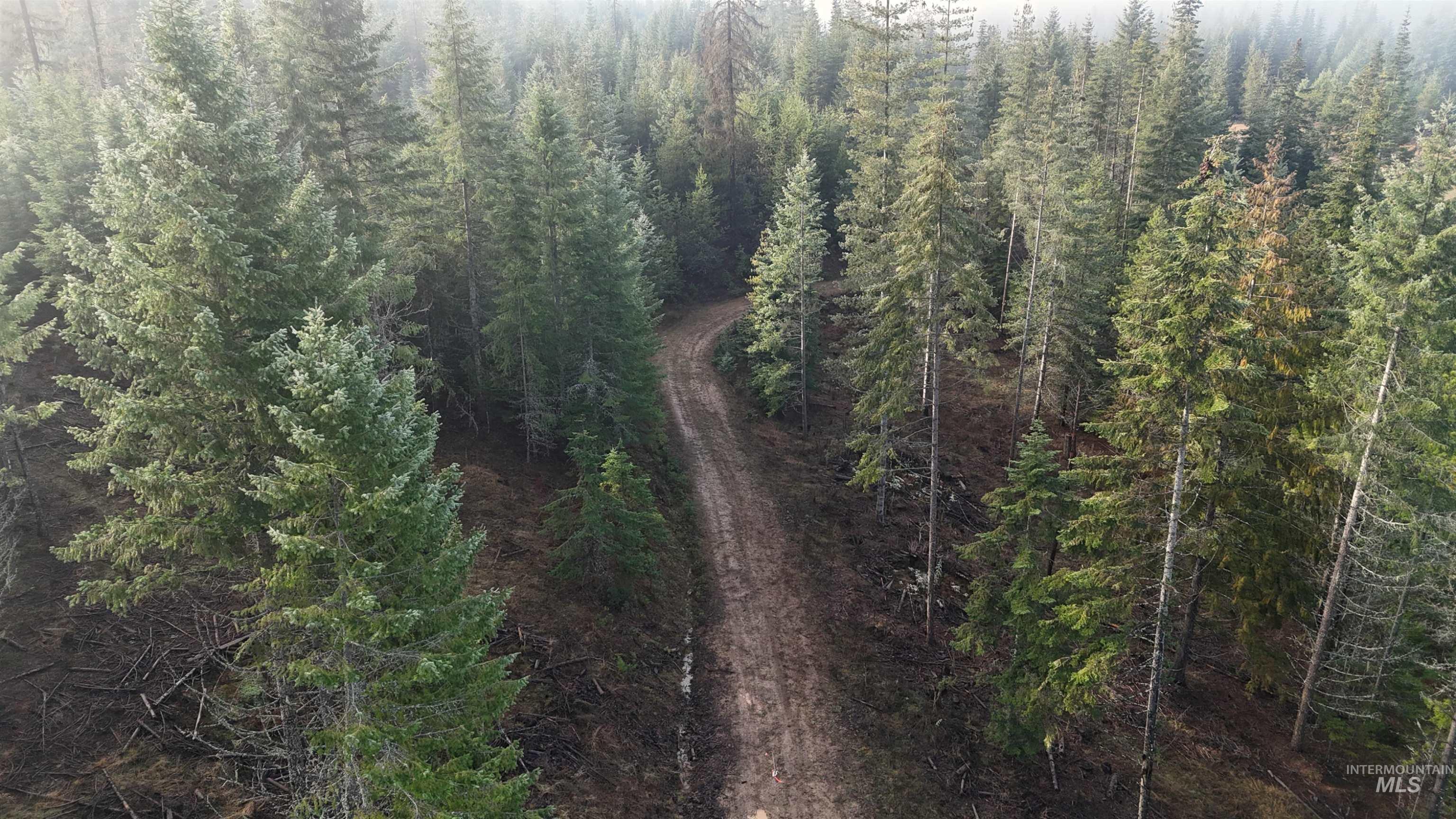 TBD Johnston Mill Rd Parcel #2, Orofino, Idaho 83544, Land For Sale, Price $115,000, 98971071