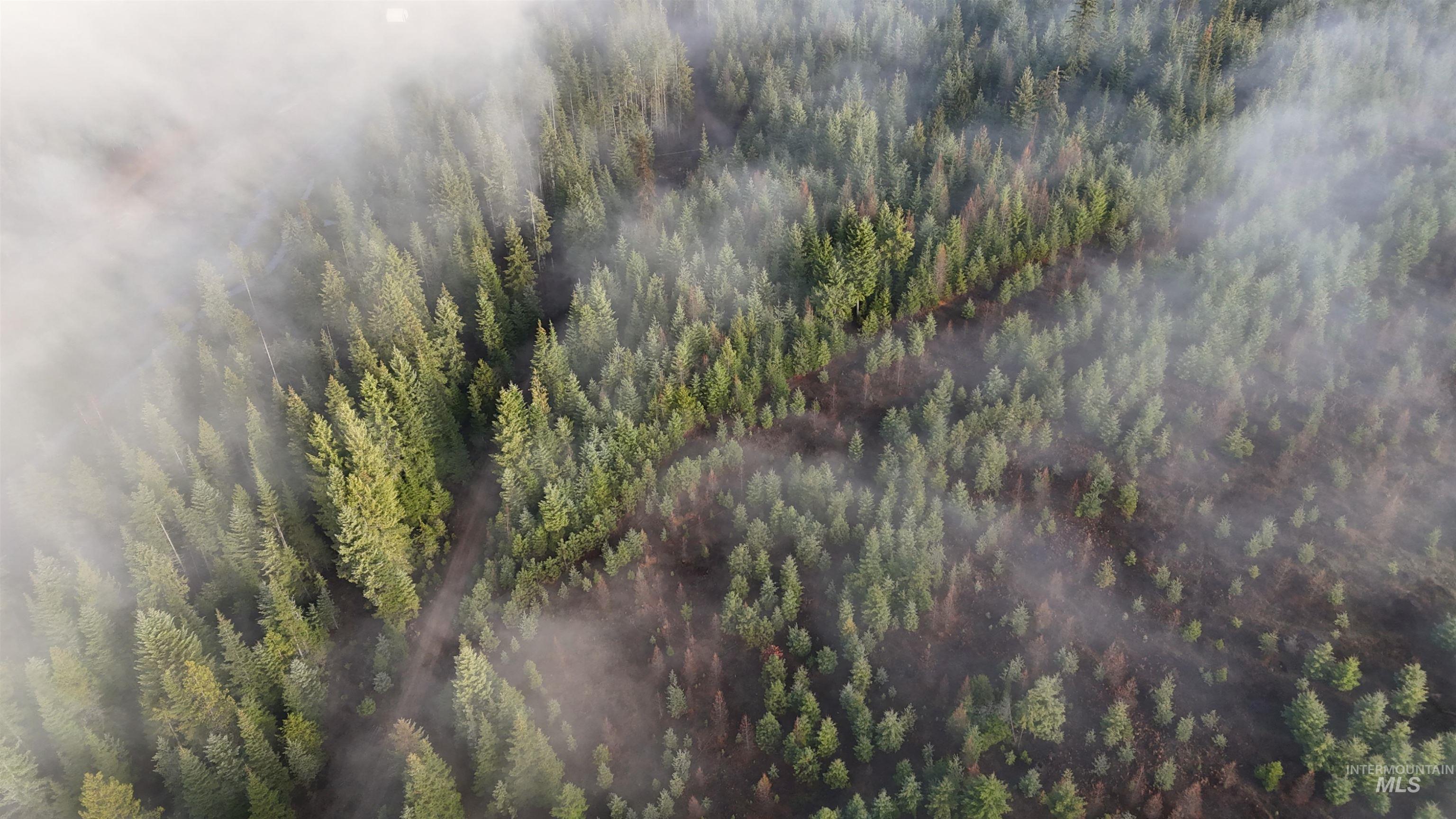 TBD Johnston Mill Rd Parcel #2, Orofino, Idaho 83544, Land For Sale, Price $115,000, 98971071