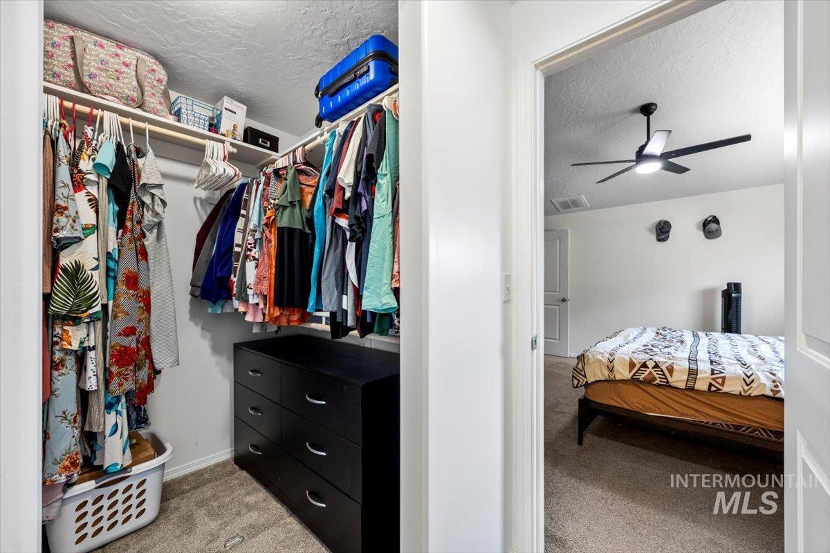 Spacious closet featuring carpet and ceiling fan