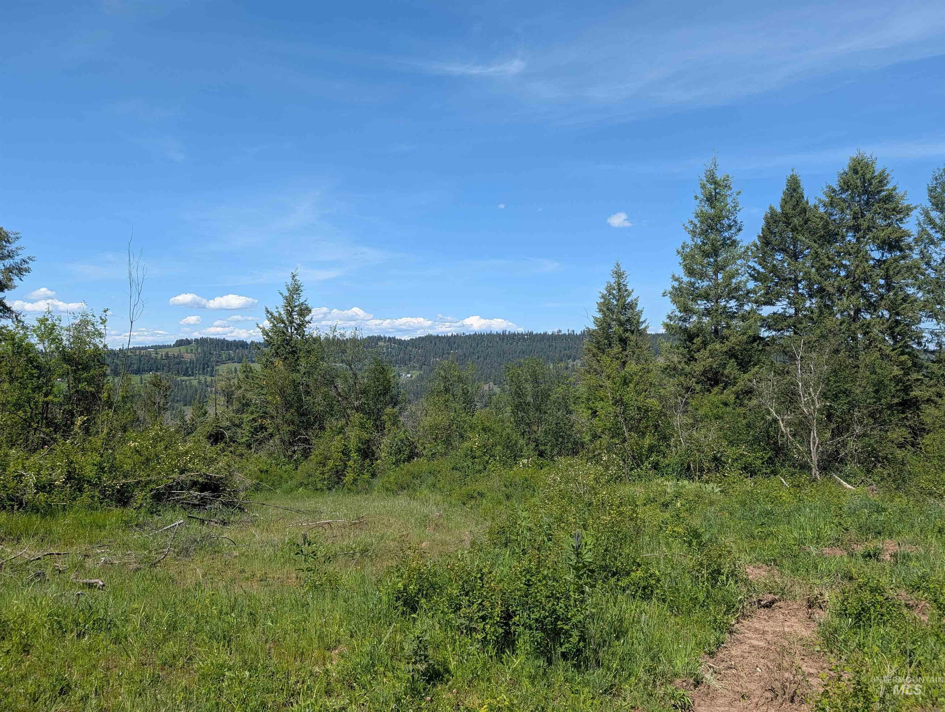 472 Mountain Top Drive (#5), Orofino, Idaho 83544, Land For Sale, Price $184,700, 98971103