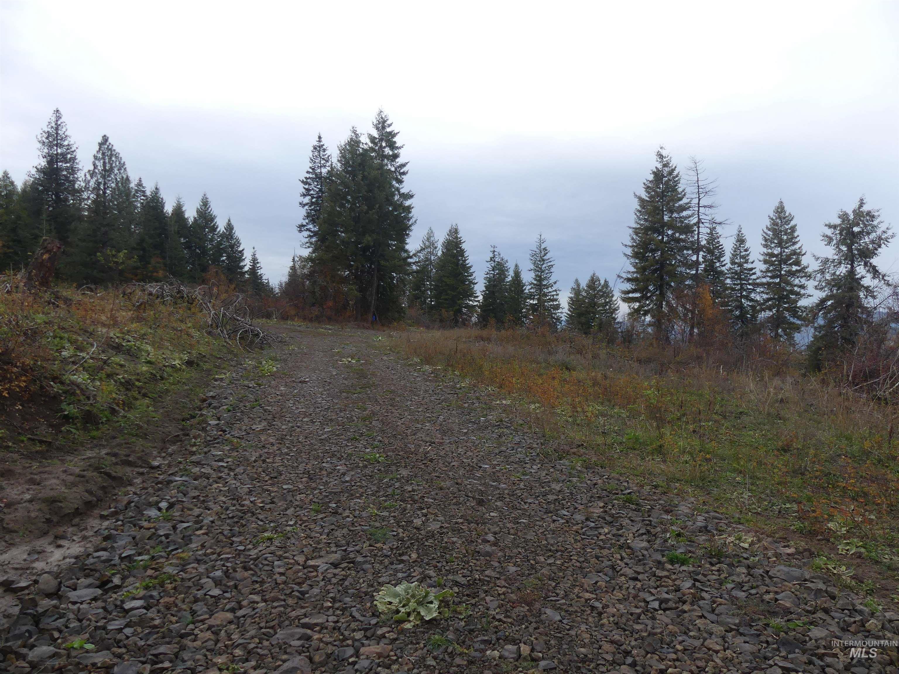 472 Mountain Top Drive (#5), Orofino, Idaho 83544, Land For Sale, Price $184,700, 98971103