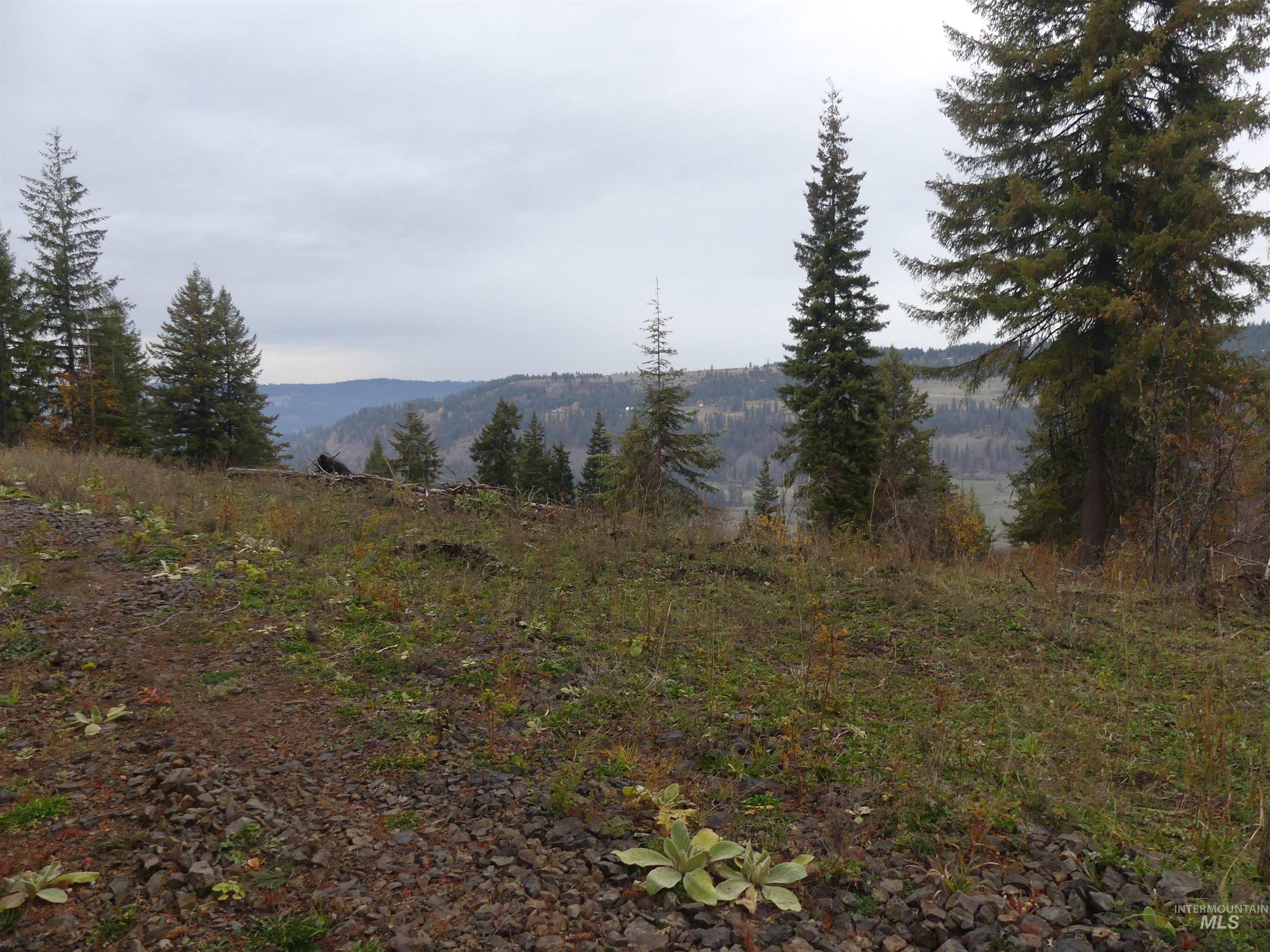 472 Mountain Top Drive (#5), Orofino, Idaho 83544, Land For Sale, Price $184,700, 98971103
