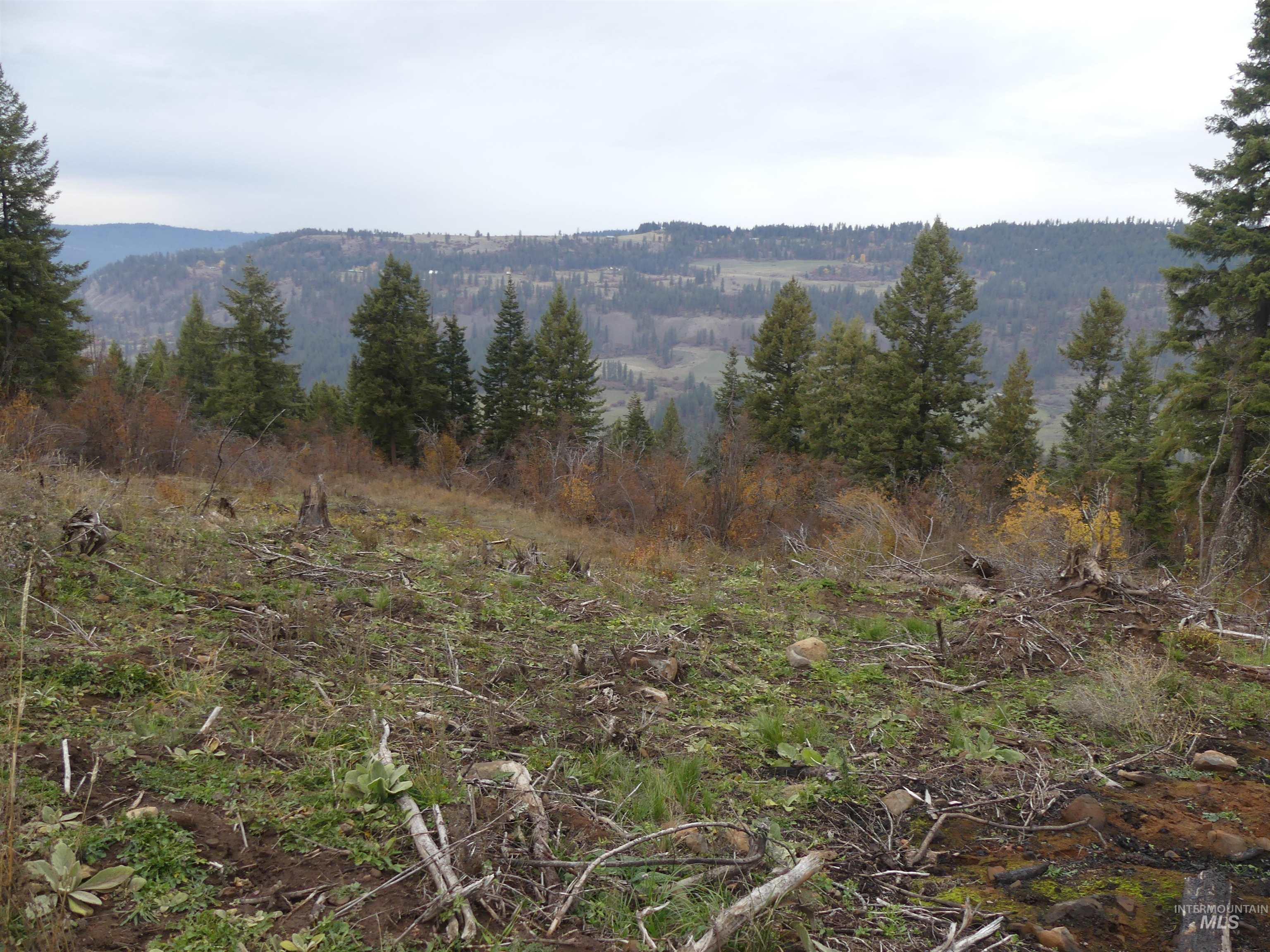 472 Mountain Top Drive (#5), Orofino, Idaho 83544, Land For Sale, Price $184,700, 98971103