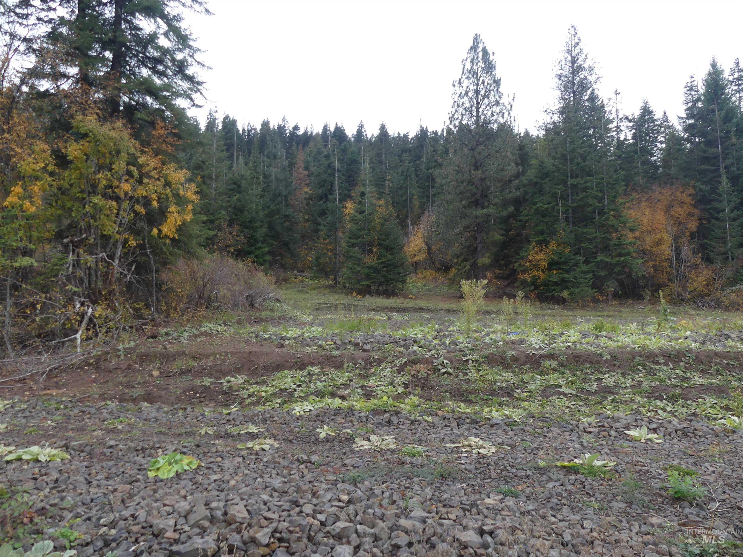 472 Mountain Top Drive (#5), Orofino, Idaho 83544, Land For Sale, Price $184,700, 98971103