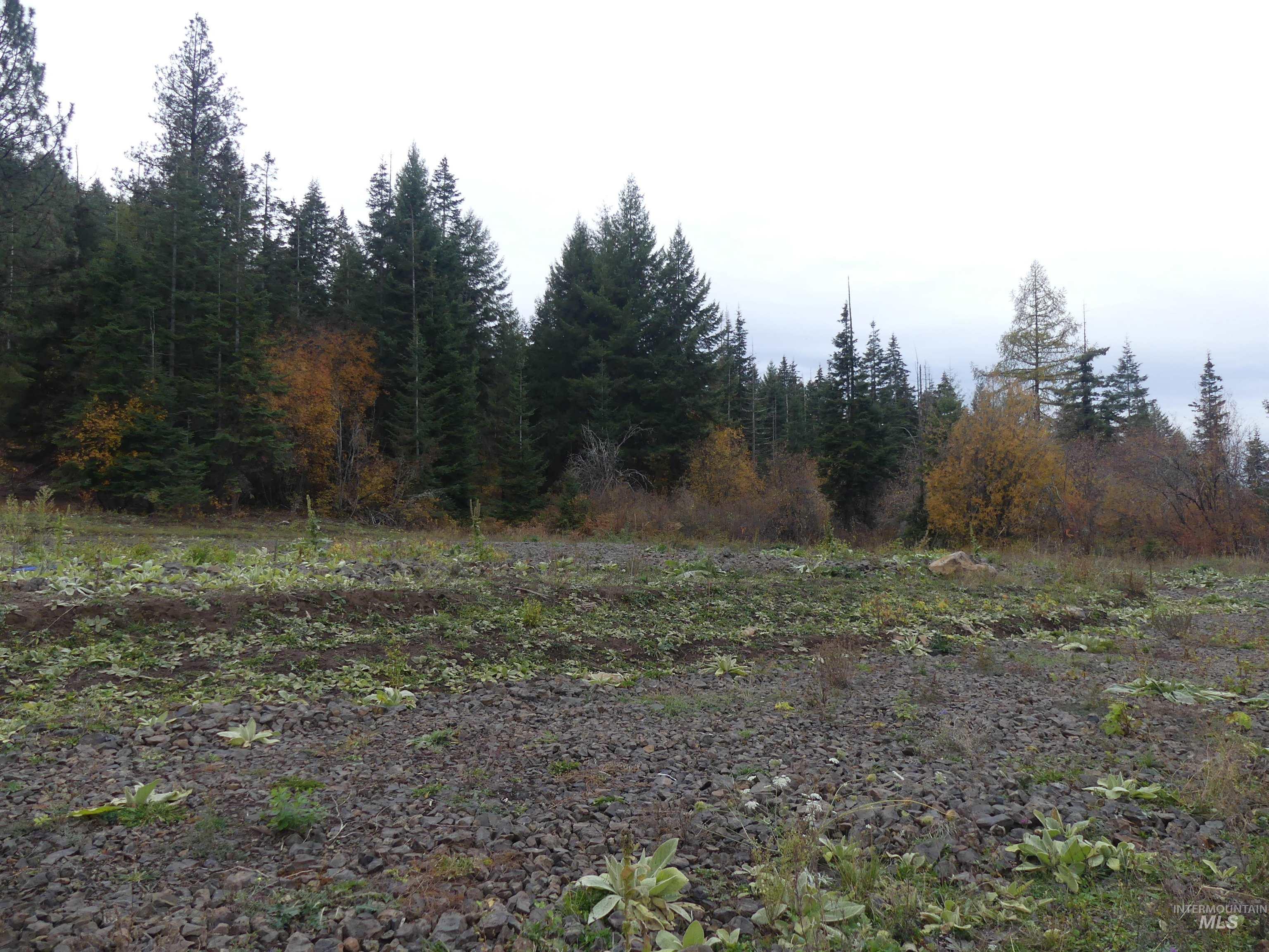 472 Mountain Top Drive (#5), Orofino, Idaho 83544, Land For Sale, Price $184,700, 98971103