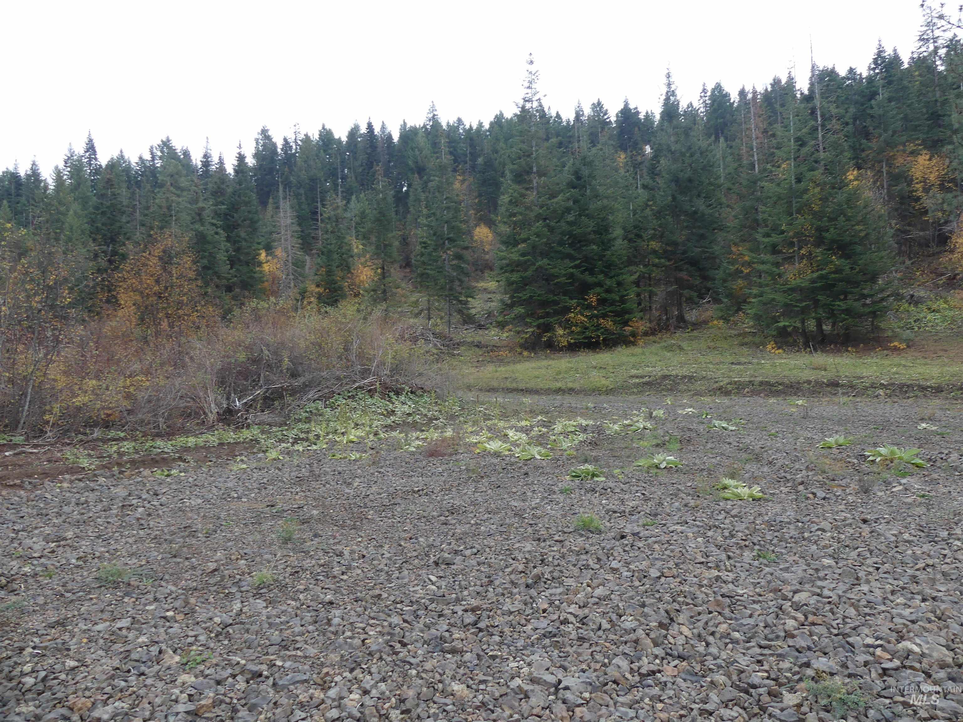 472 Mountain Top Drive (#5), Orofino, Idaho 83544, Land For Sale, Price $184,700, 98971103