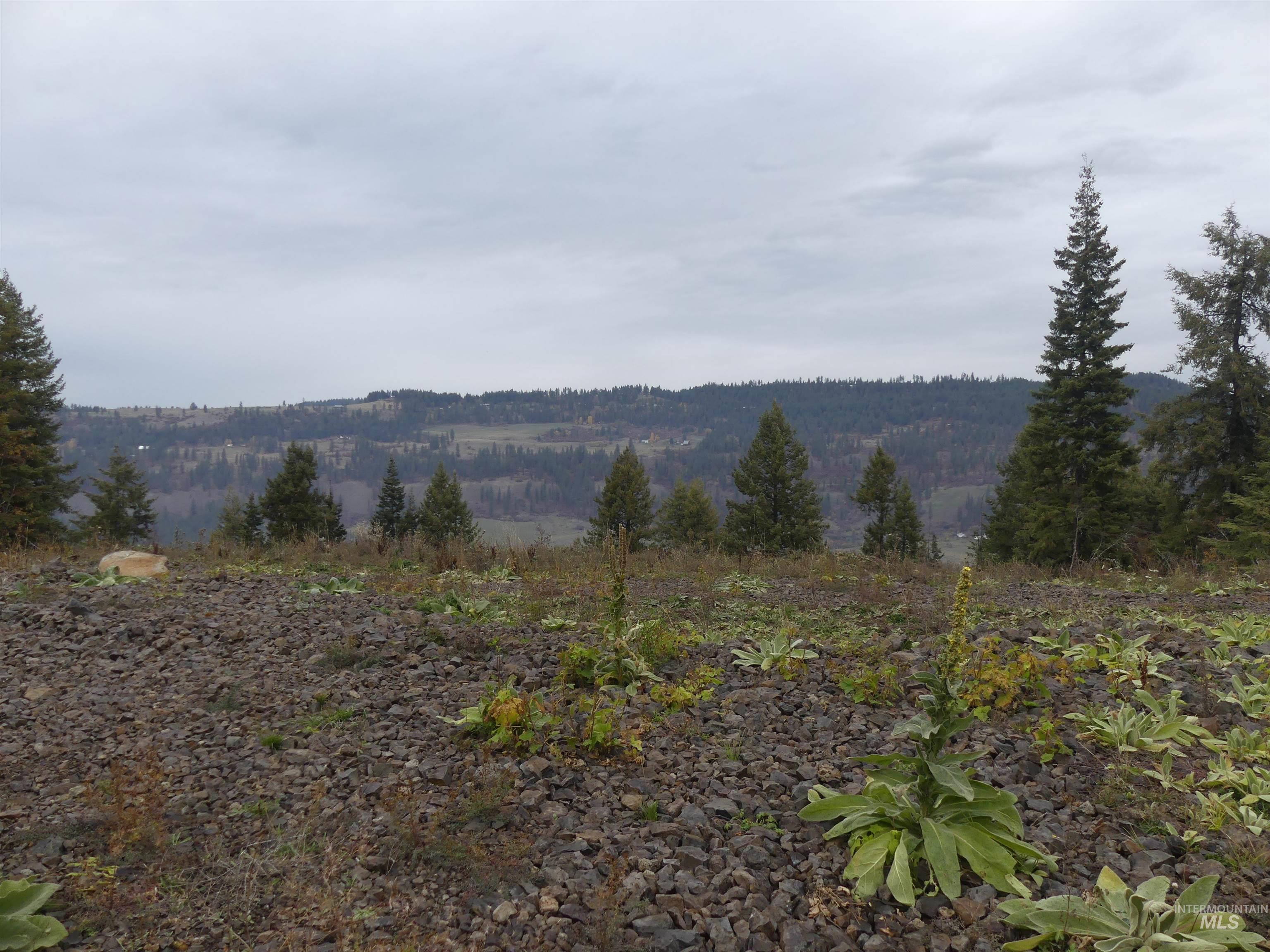 472 Mountain Top Drive (#5), Orofino, Idaho 83544, Land For Sale, Price $184,700, 98971103