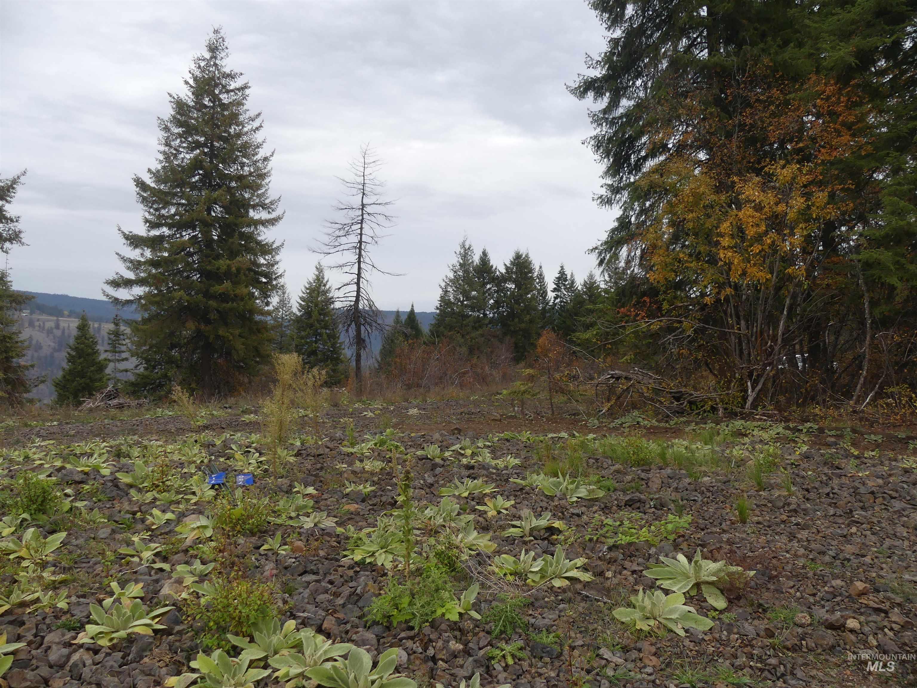 472 Mountain Top Drive (#5), Orofino, Idaho 83544, Land For Sale, Price $184,700, 98971103