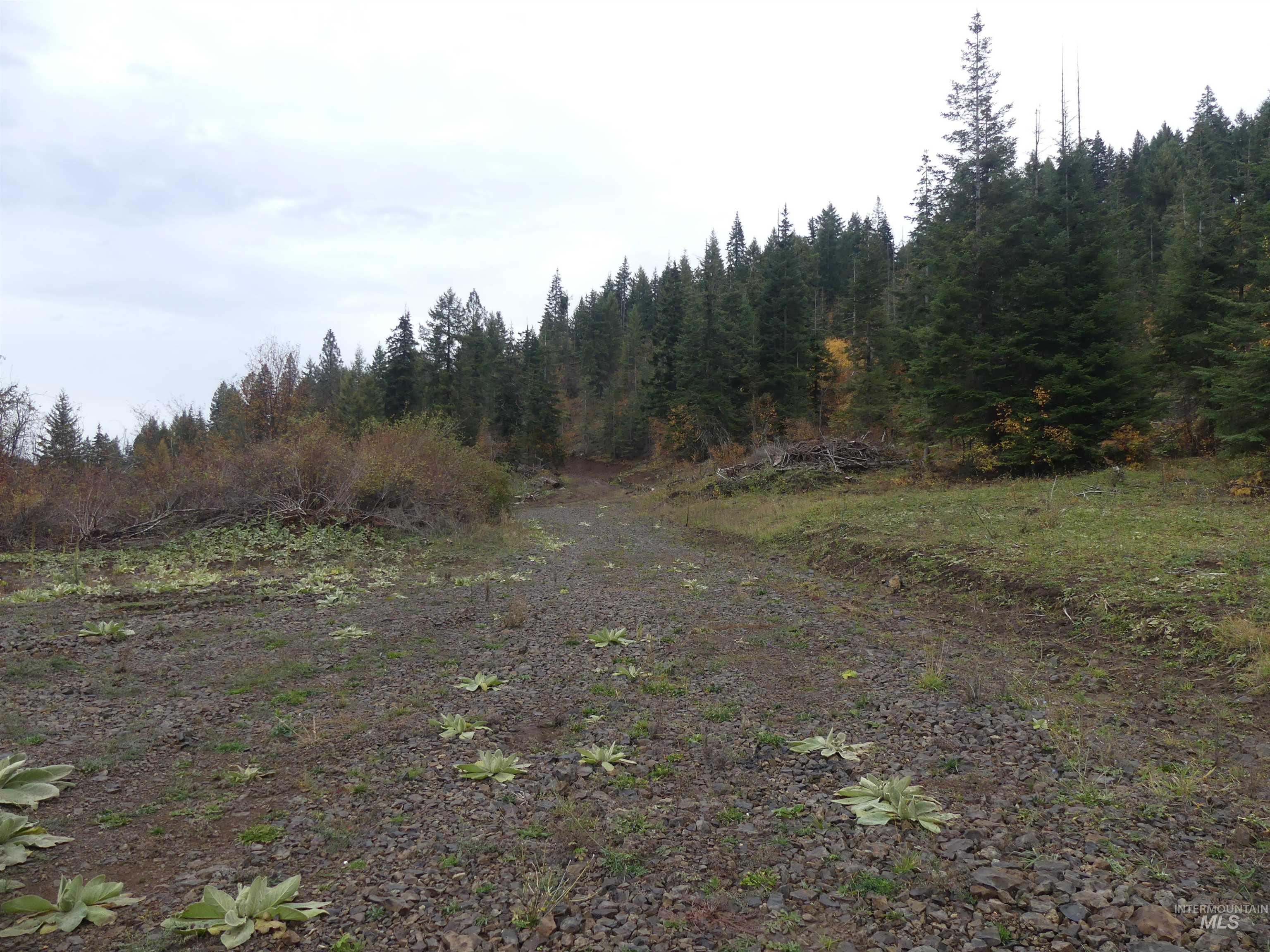 472 Mountain Top Drive (#5), Orofino, Idaho 83544, Land For Sale, Price $184,700, 98971103