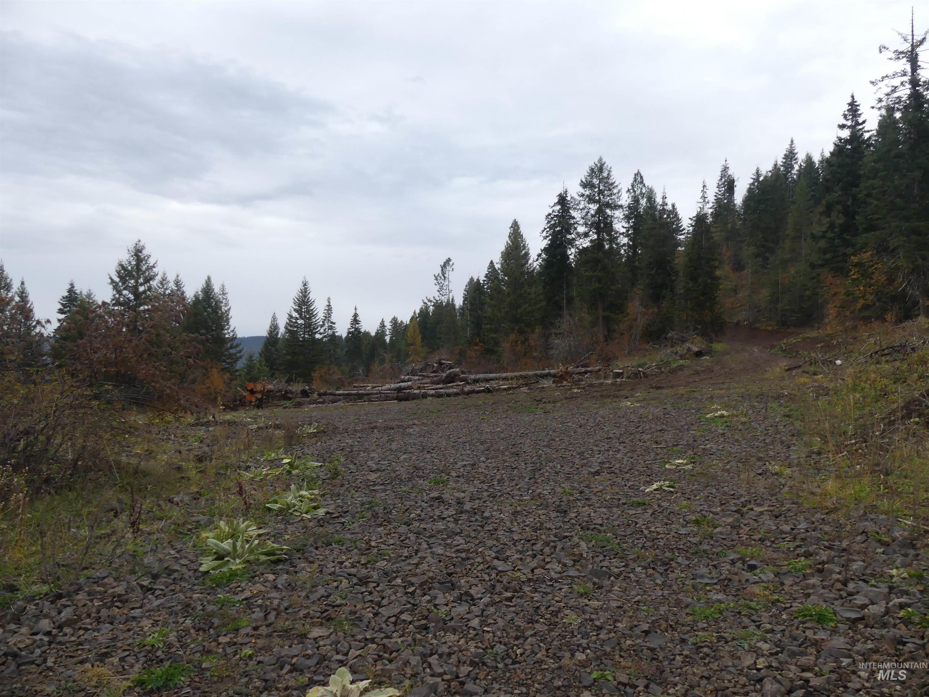 472 Mountain Top Drive (#5), Orofino, Idaho 83544, Land For Sale, Price $184,700, 98971103