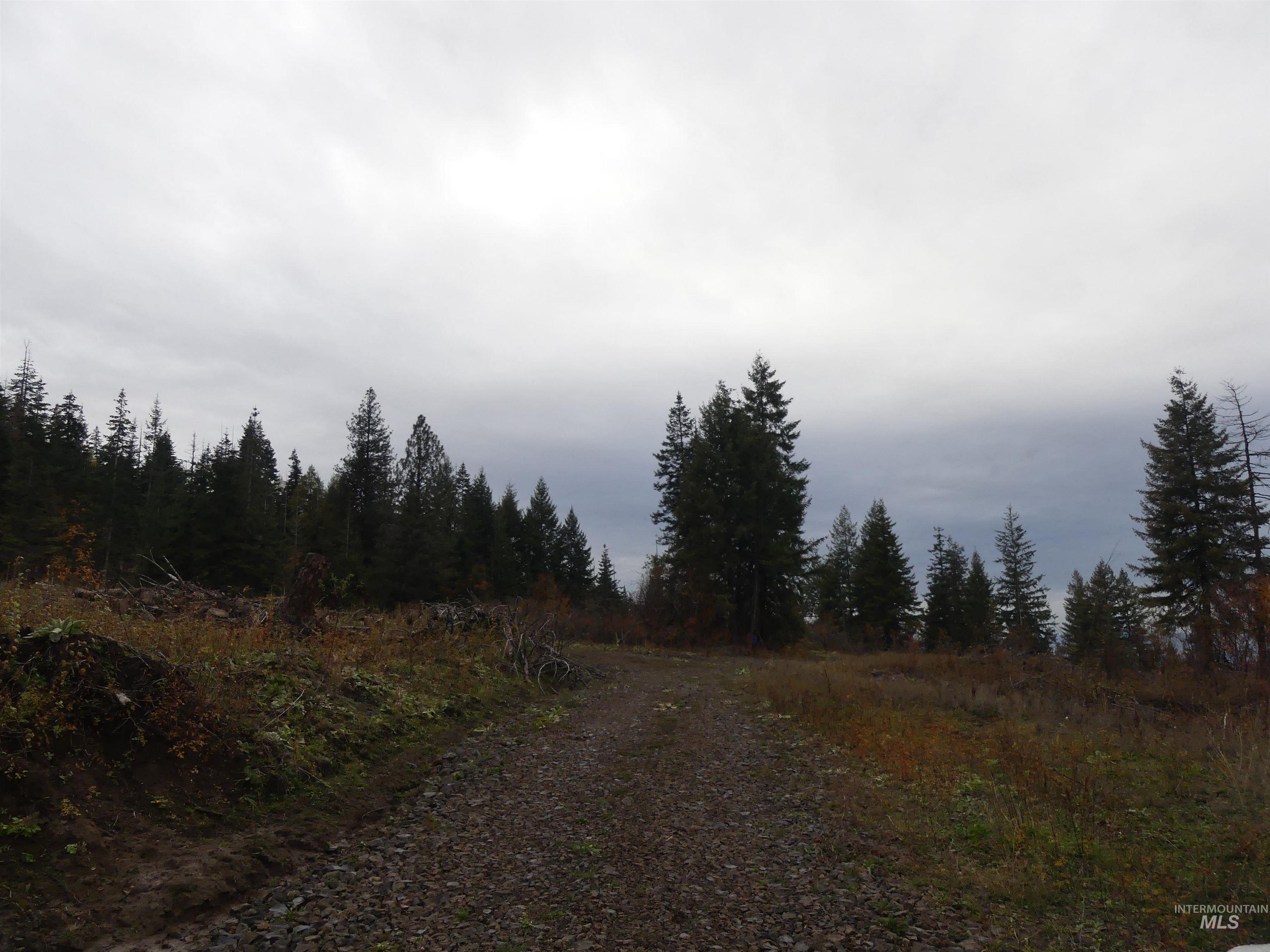 472 Mountain Top Drive (#5), Orofino, Idaho 83544, Land For Sale, Price $184,700, 98971103