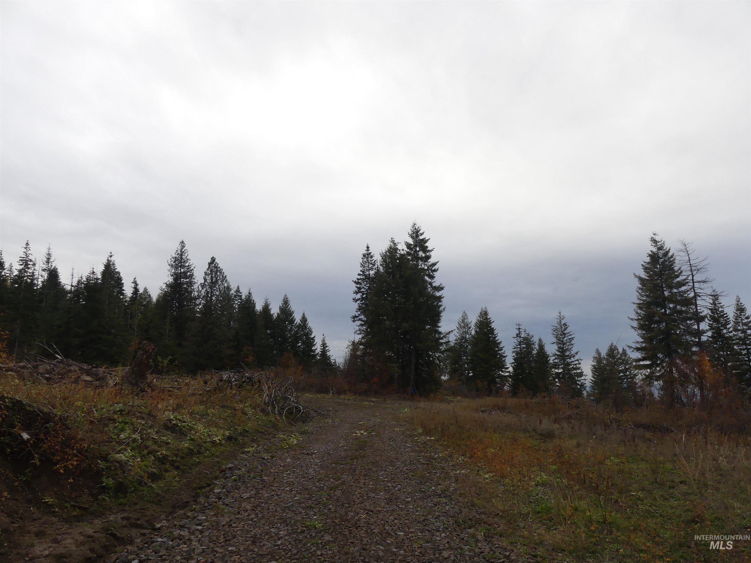 472 Mountain Top Drive (#5), Orofino, Idaho 83544, Land For Sale, Price $184,700, 98971103
